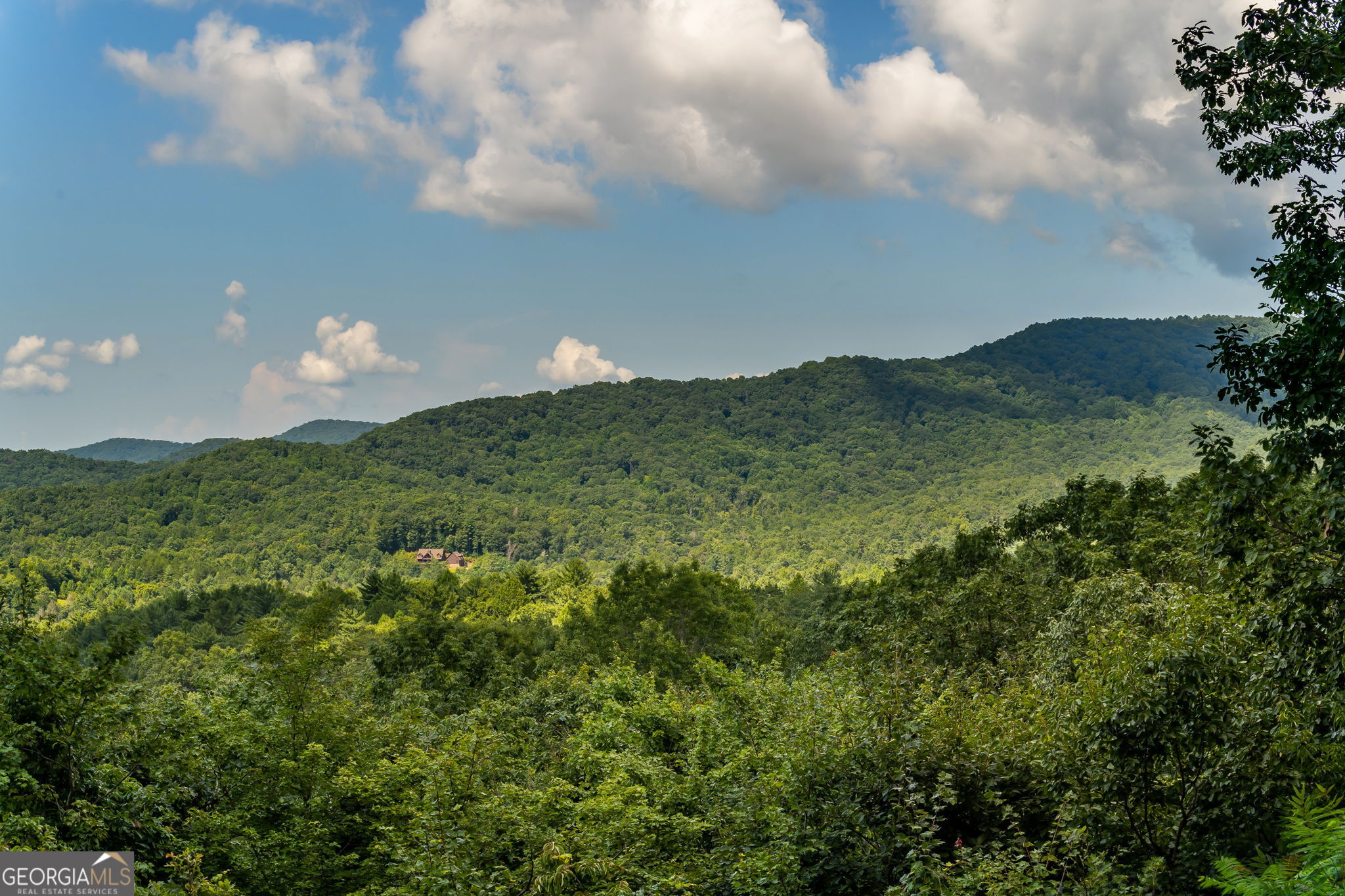 11 Amy Creek Property Photo 62