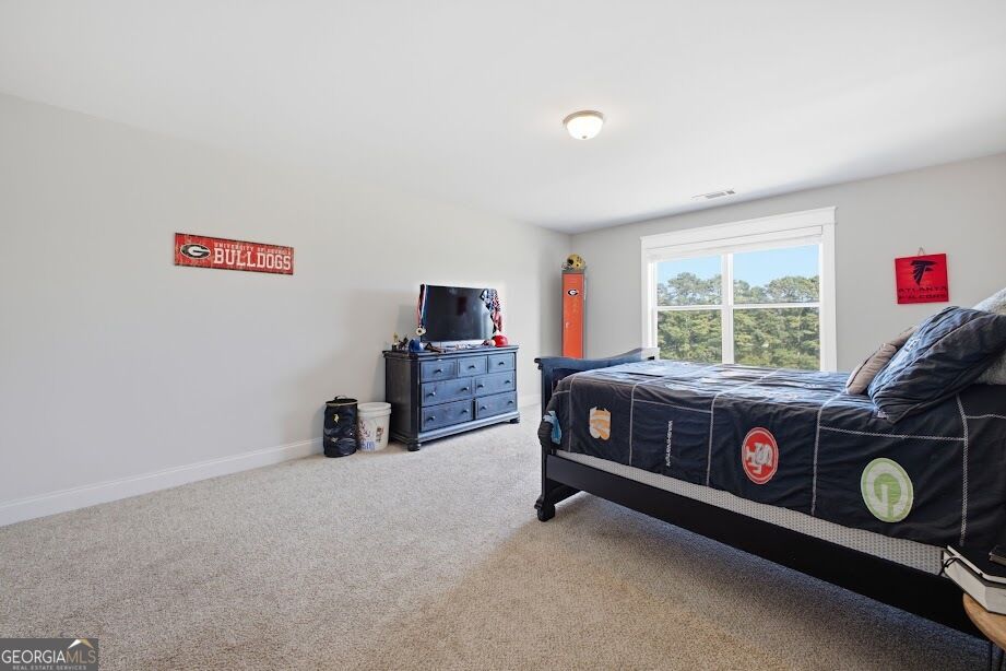 1515 Pleasant Ridge Road Property Photo 63