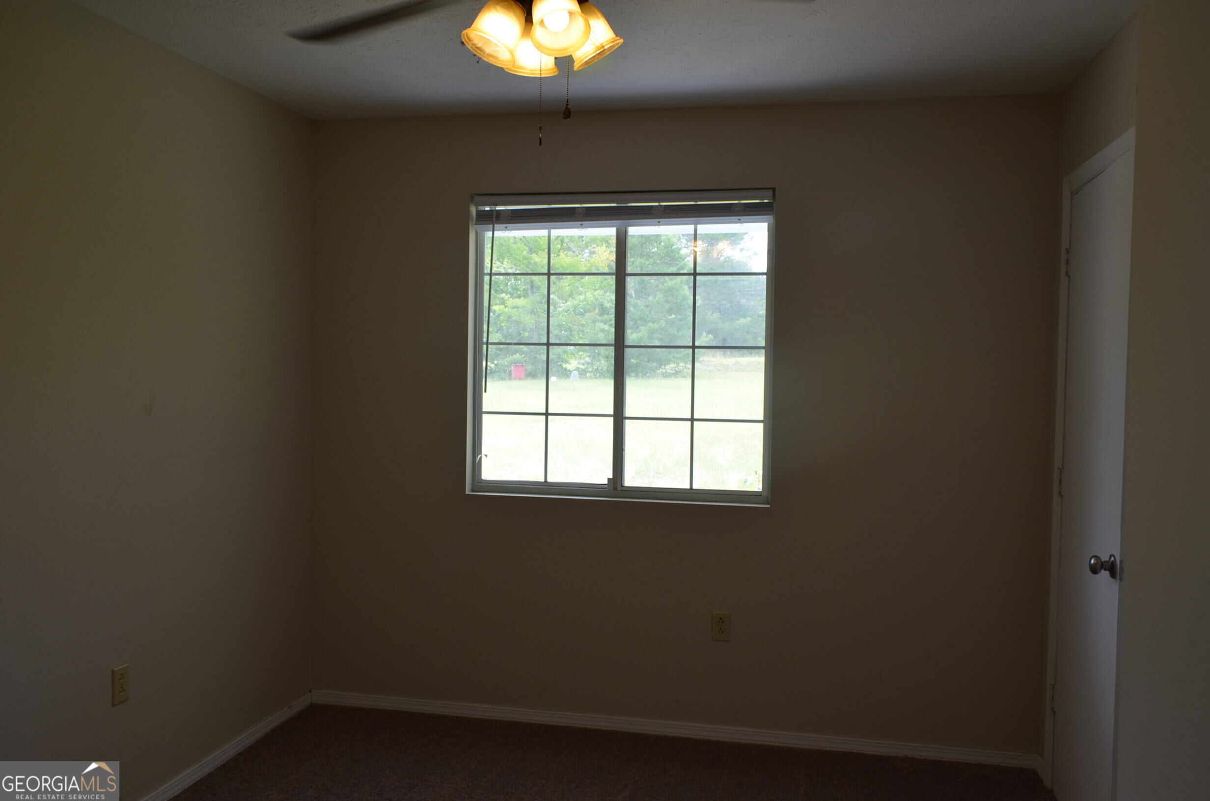 223 Carroll Road Property Photo 12