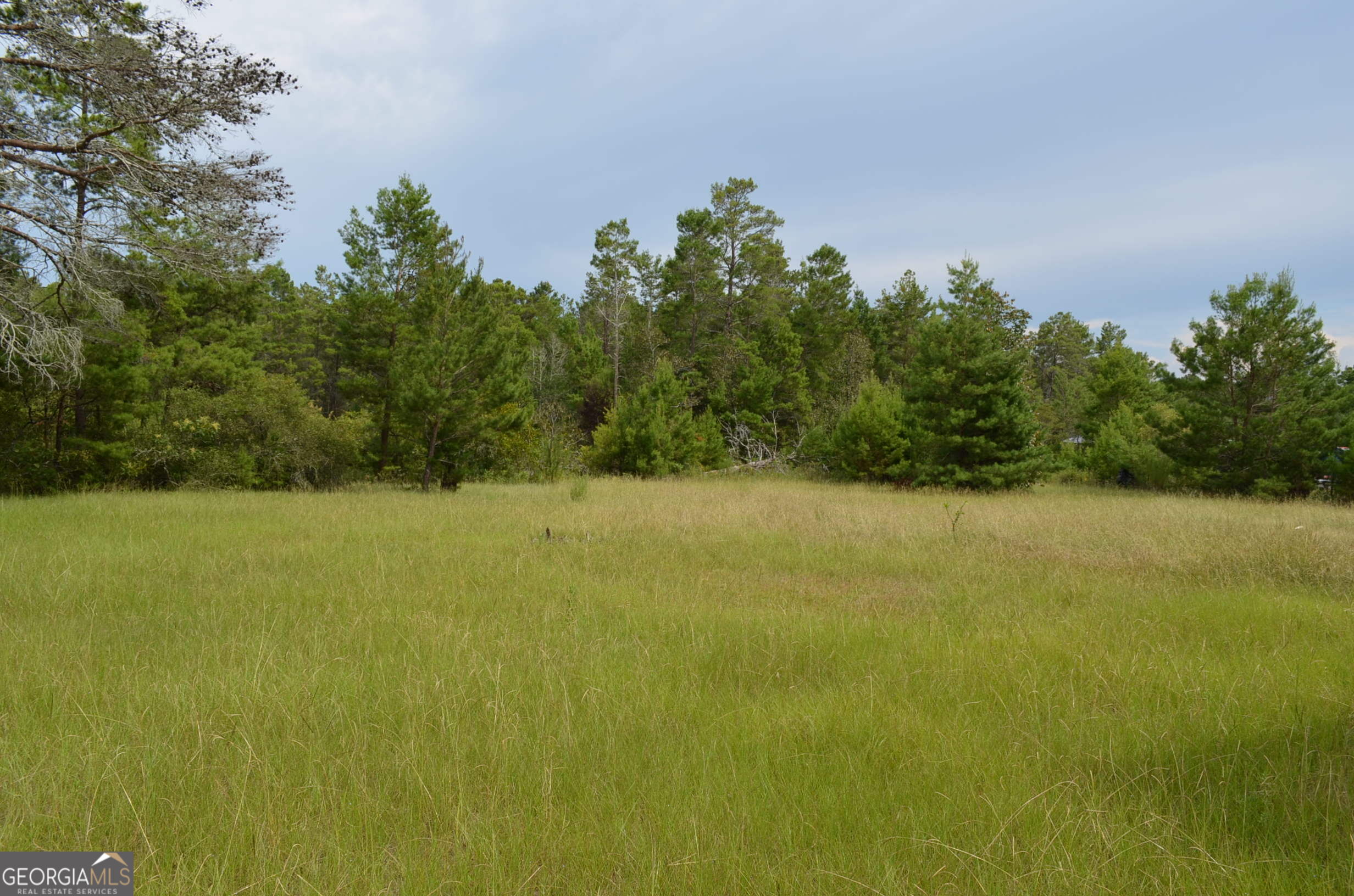 223 Carroll Road Property Photo 17