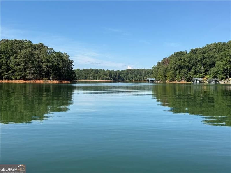 5730 Chestatee Landing Drive Property Photo 7