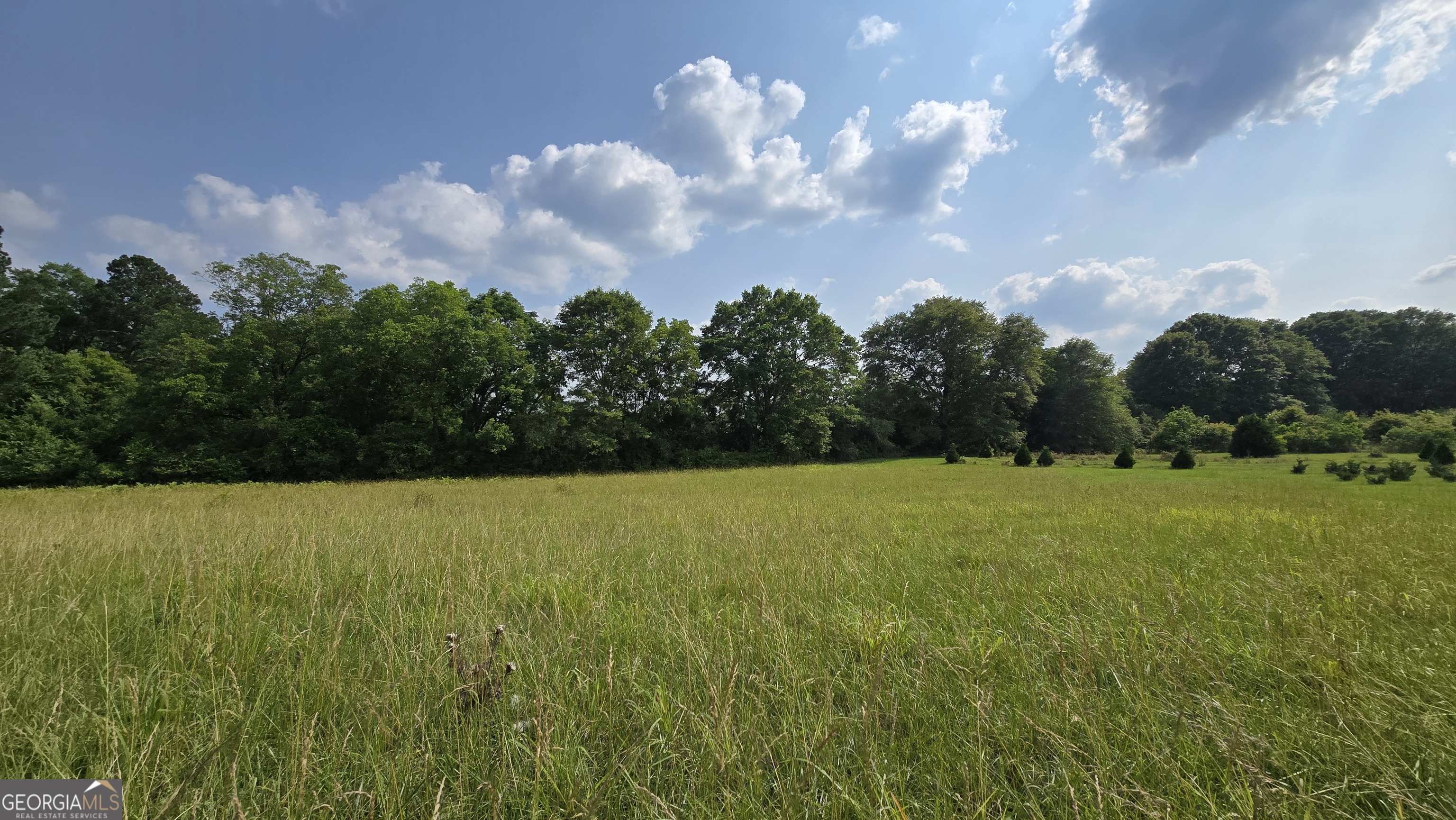 2037 Jeff Davis Road Property Photo 29