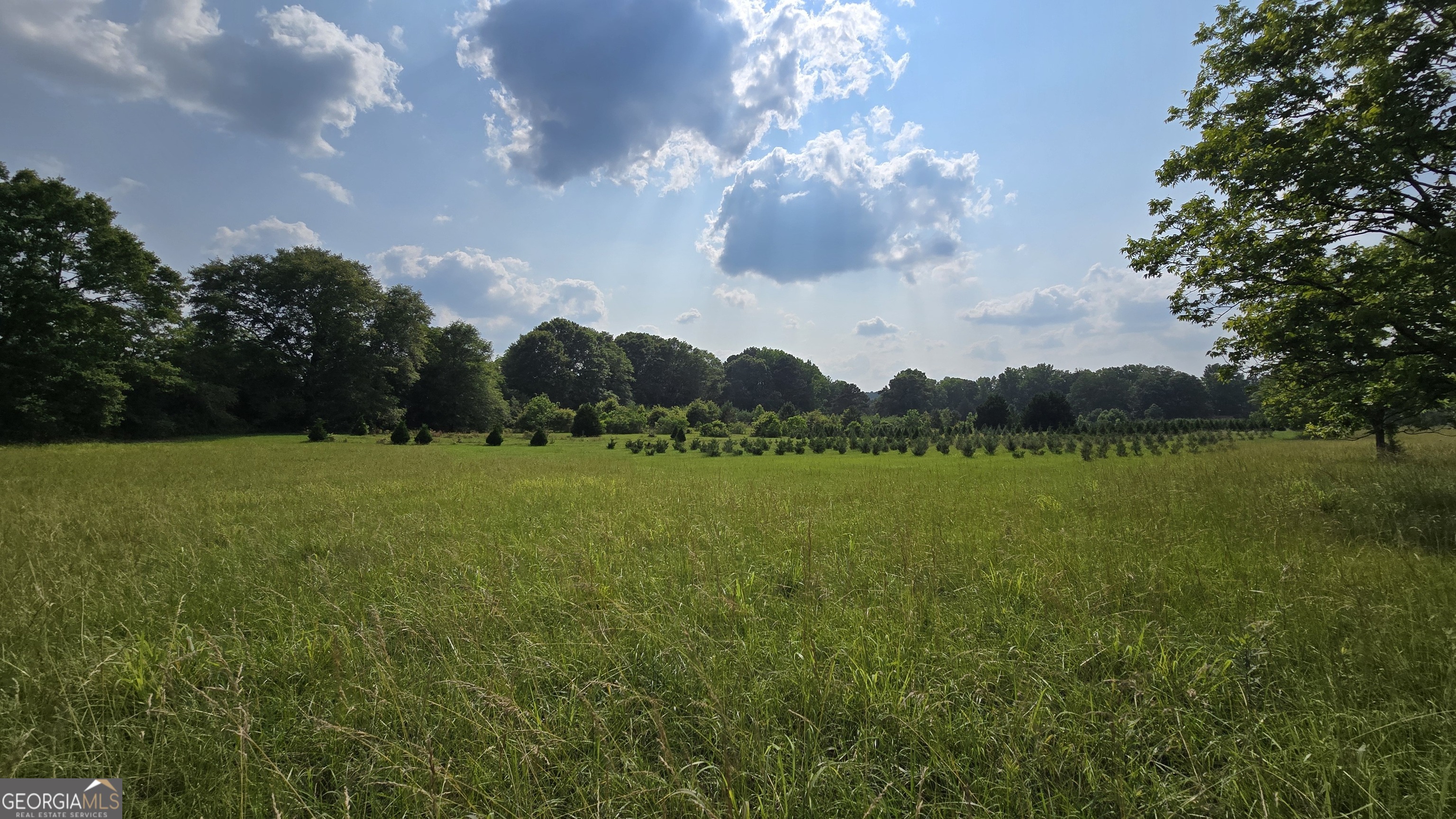 2037 Jeff Davis Road Property Photo 30