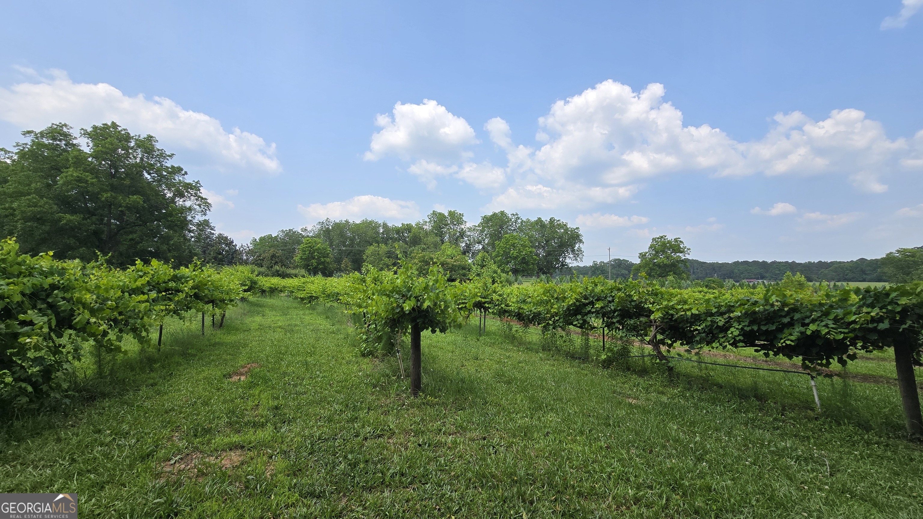 2037 Jeff Davis Road Property Photo 31