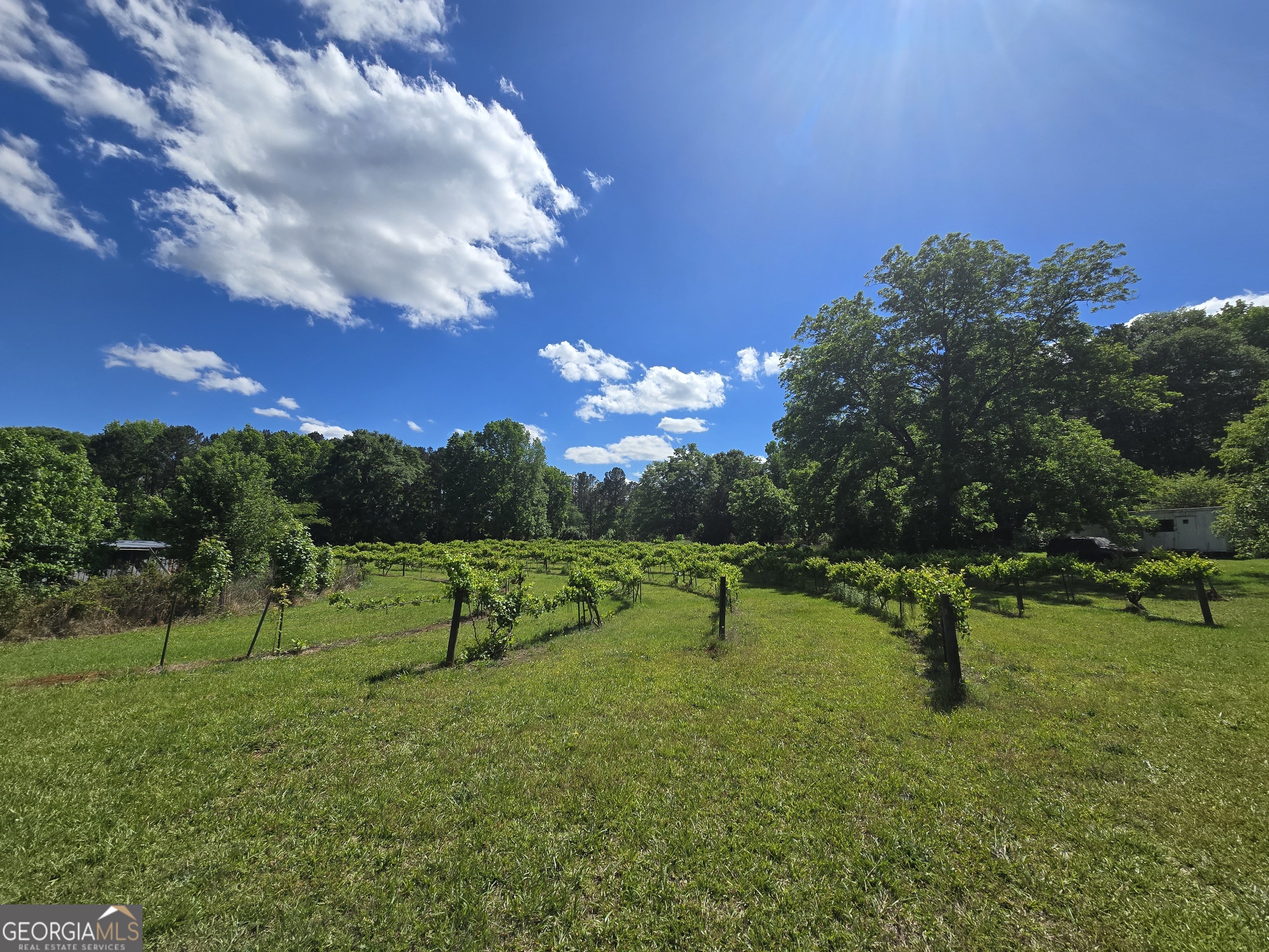 2037 Jeff Davis Road Property Photo 32