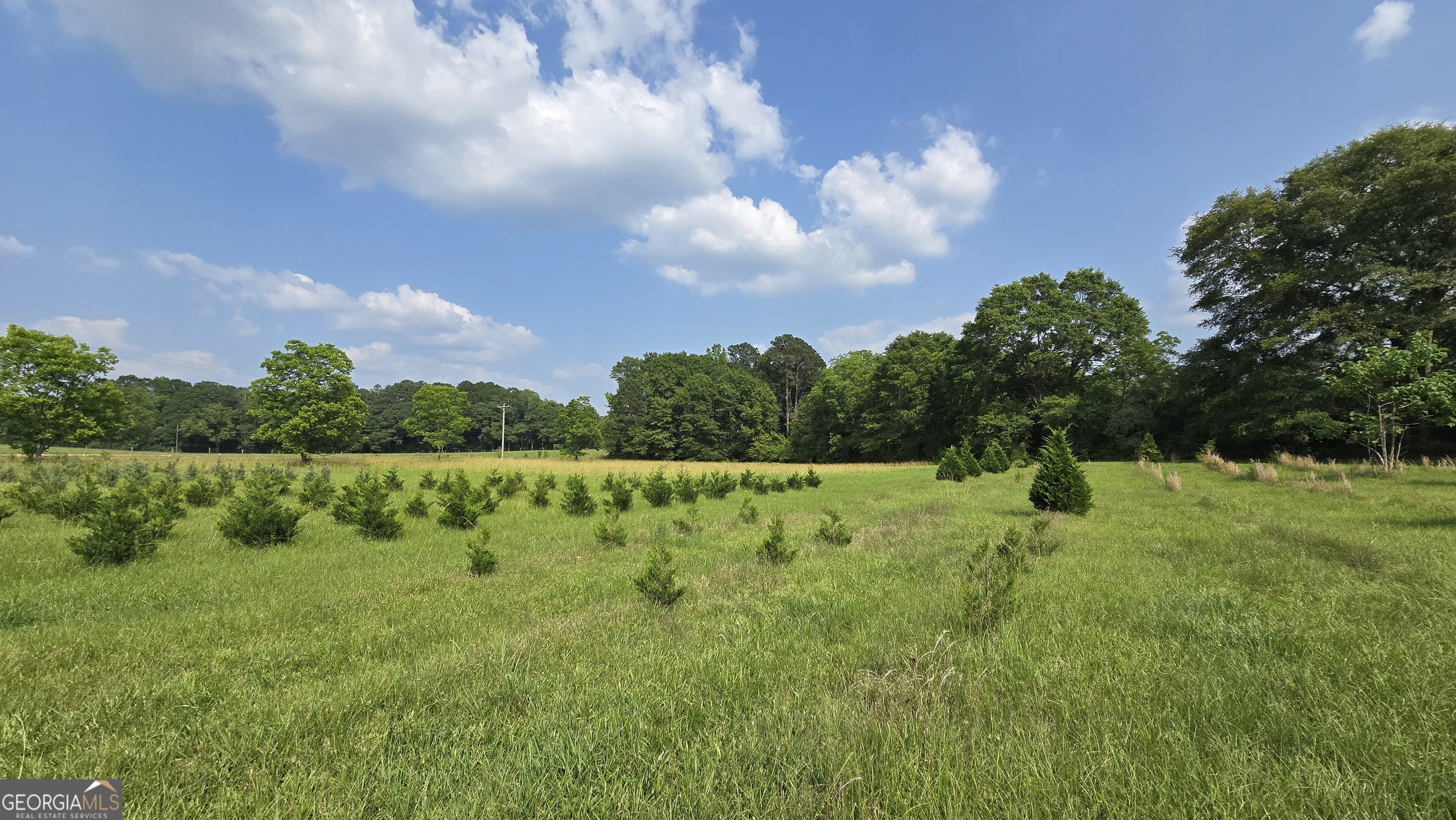 2037 Jeff Davis Road Property Photo 34