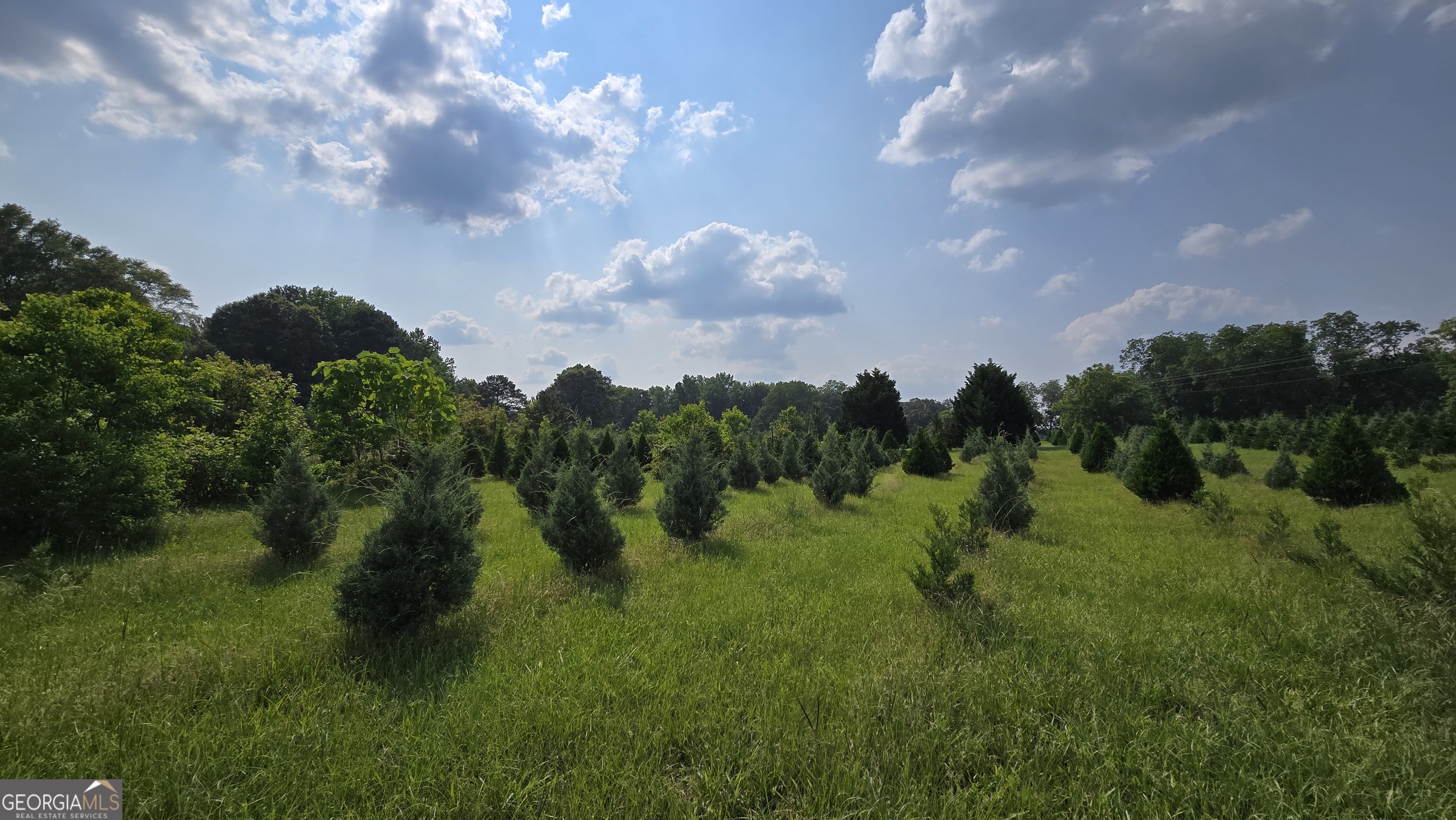 2037 Jeff Davis Road Property Photo 35