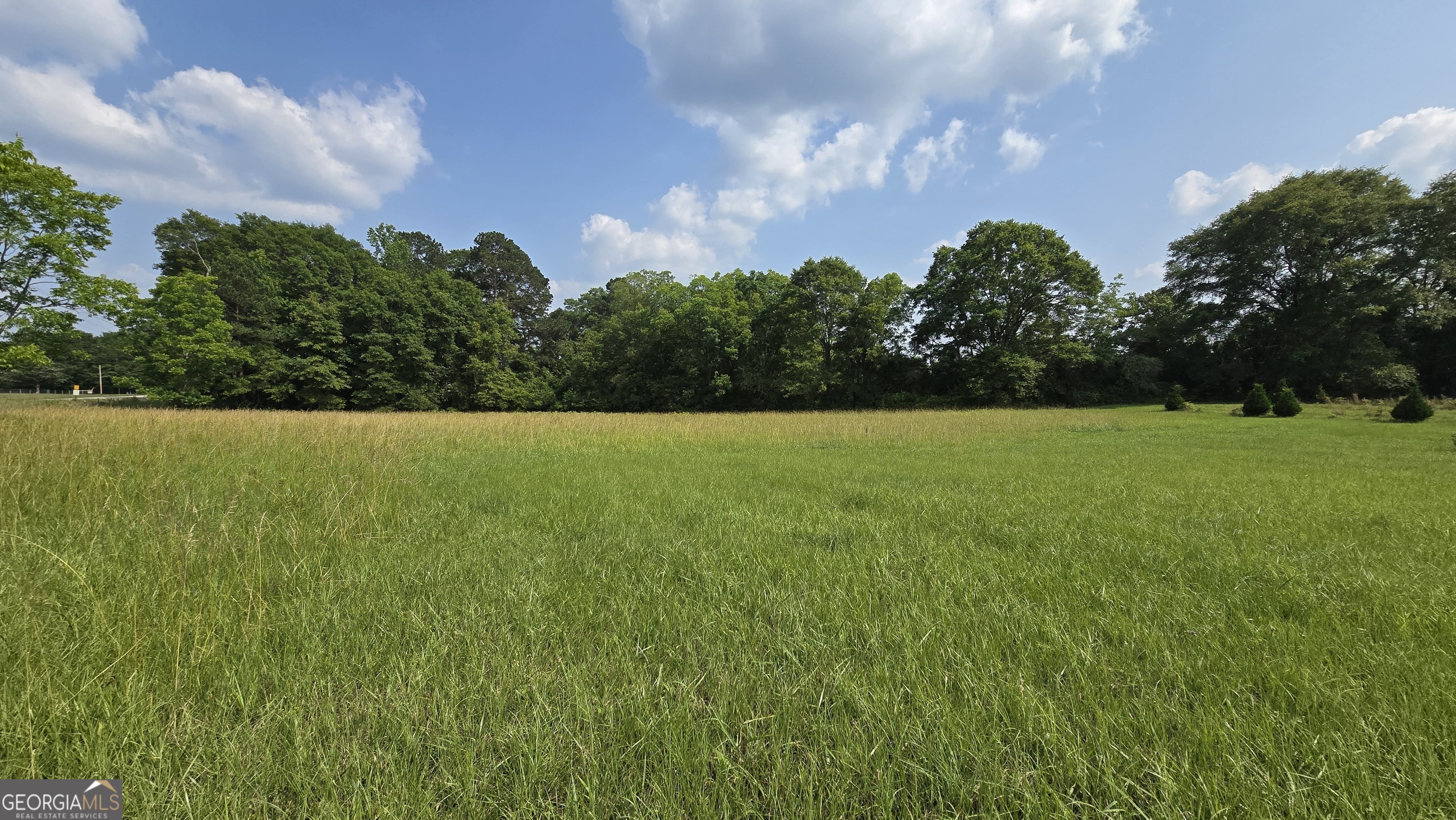 2037 Jeff Davis Road Property Photo 36