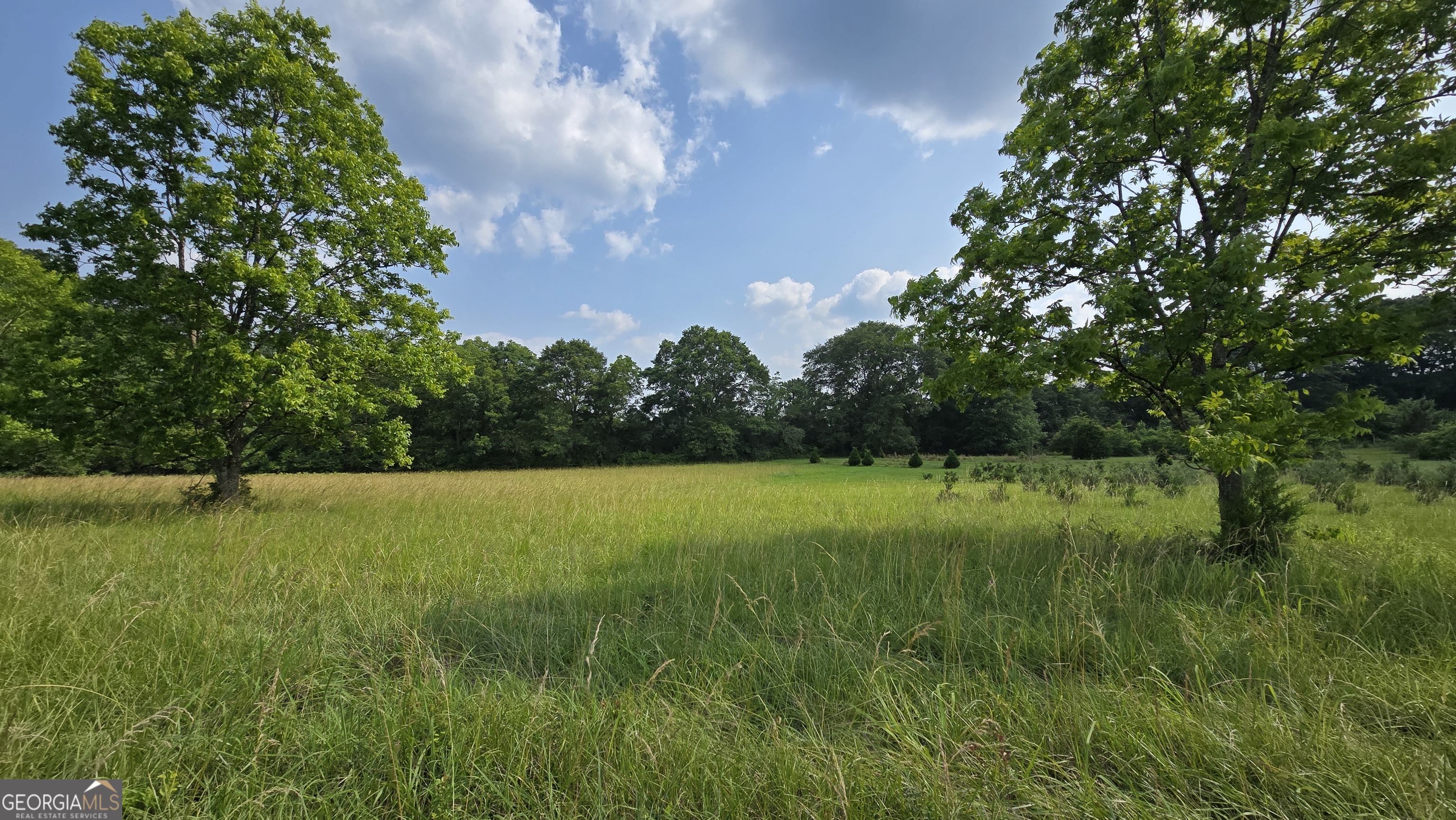 2037 Jeff Davis Road Property Photo 37
