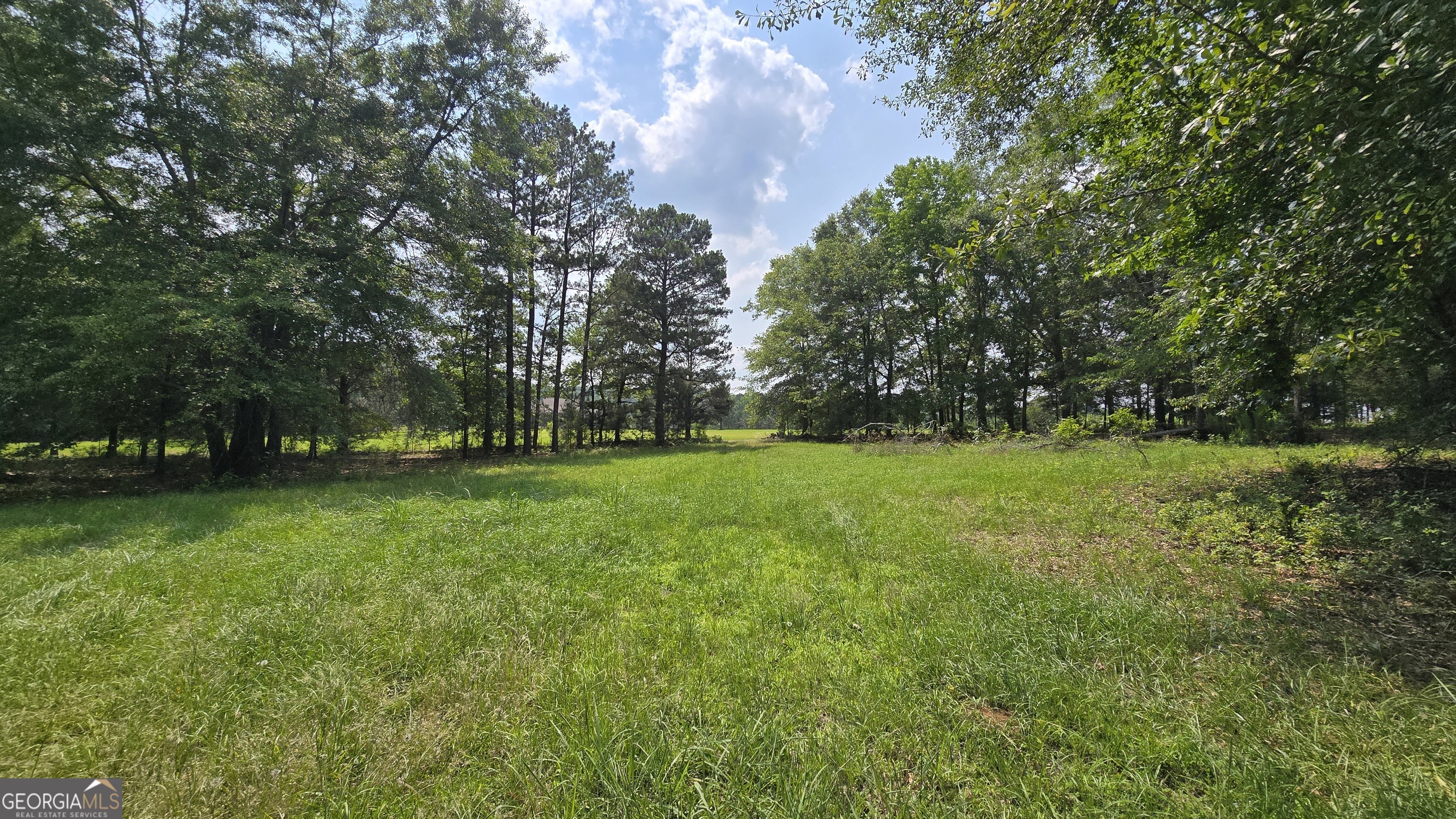 2037 Jeff Davis Road Property Photo 39
