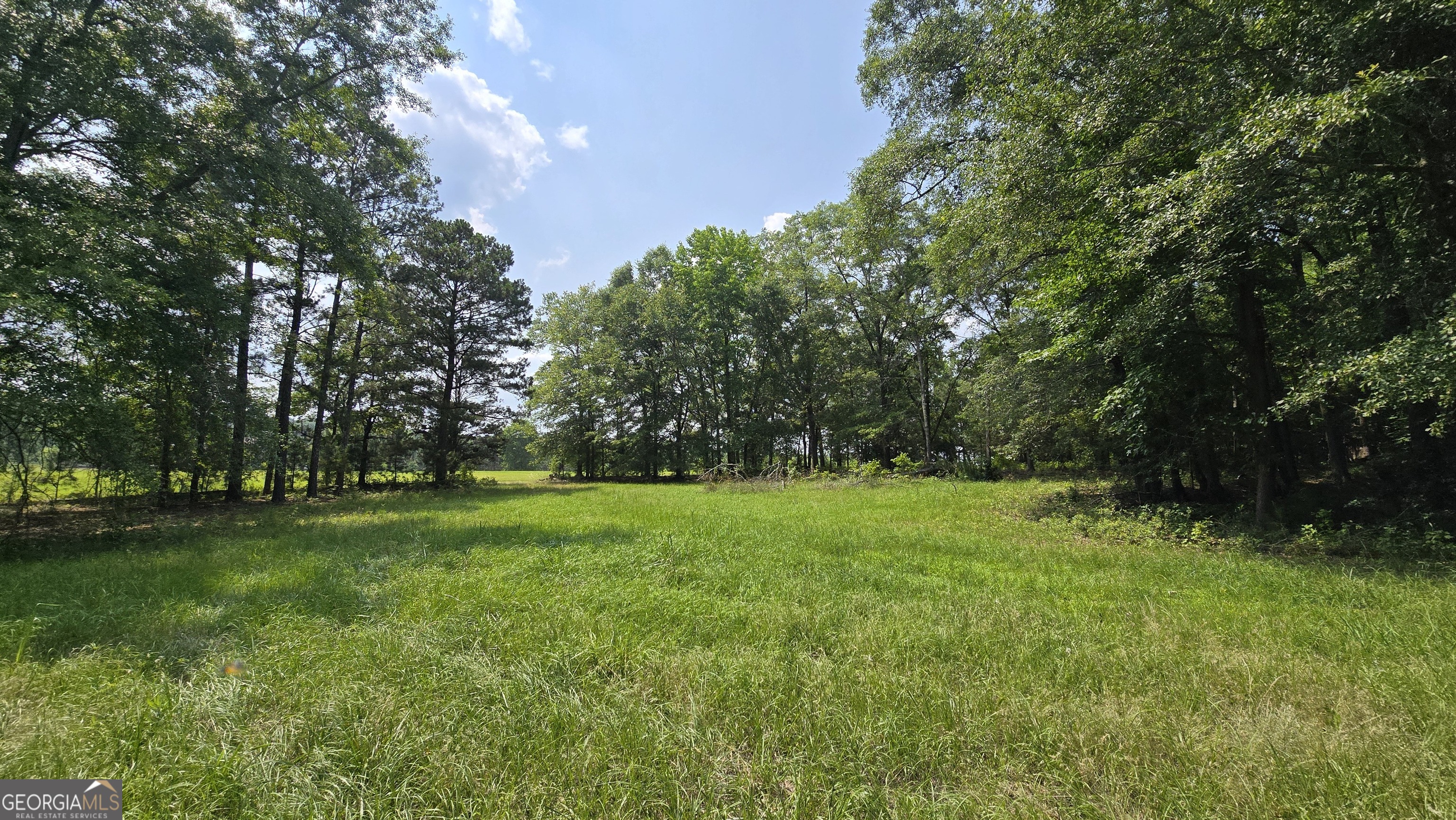 2037 Jeff Davis Road Property Photo 40