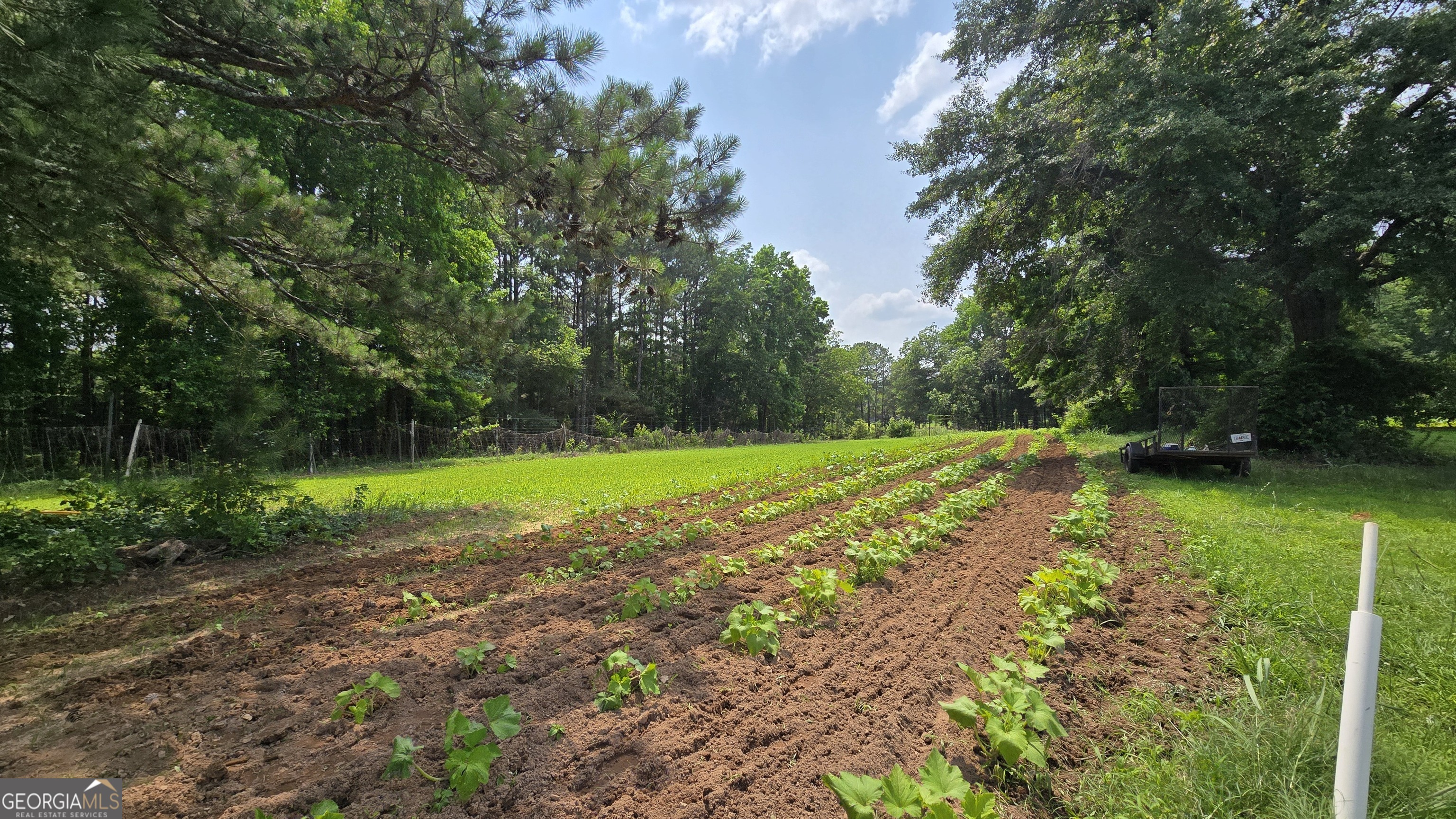 2037 Jeff Davis Road Property Photo 48