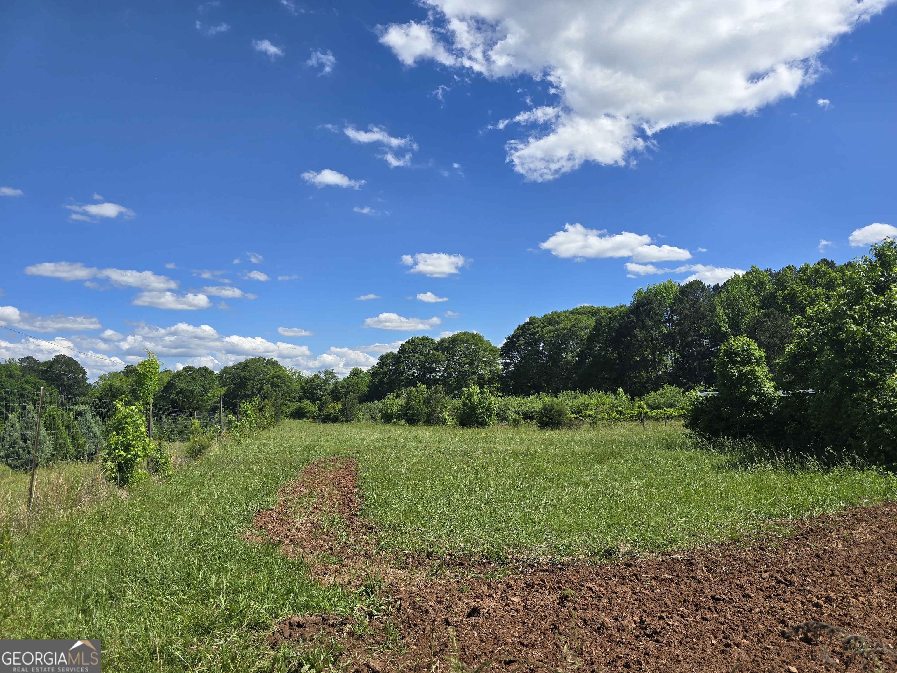 2037 Jeff Davis Road Property Photo 52