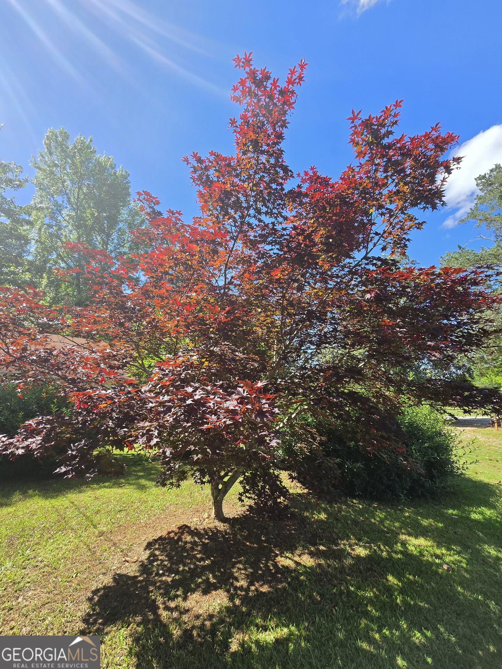 2037 Jeff Davis Road Property Photo 53