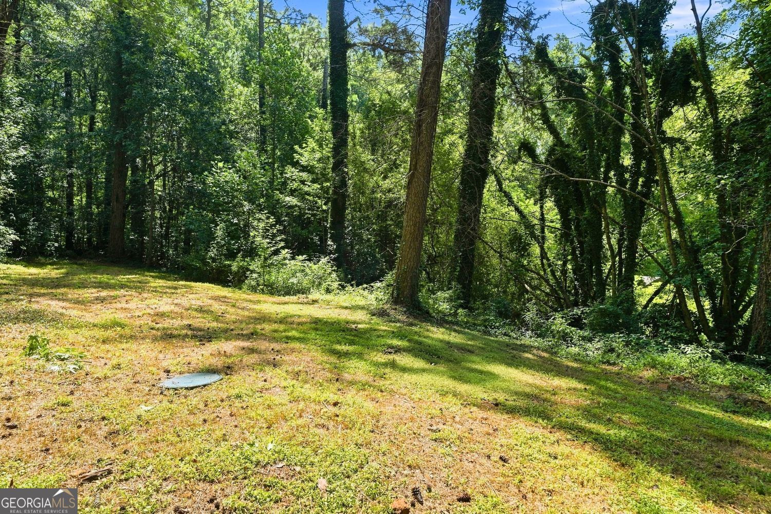 128 Dickson Court Property Photo 42