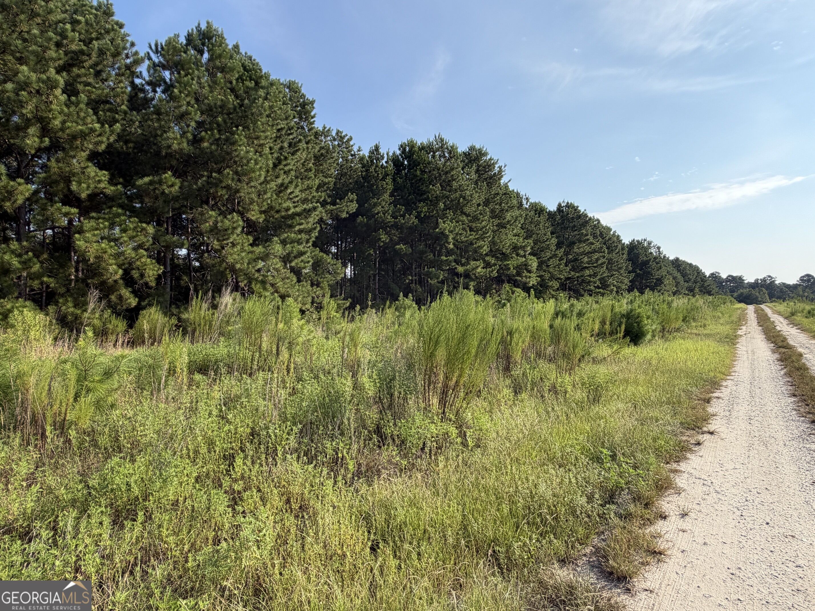 0 Highway 296 Property Photo 1