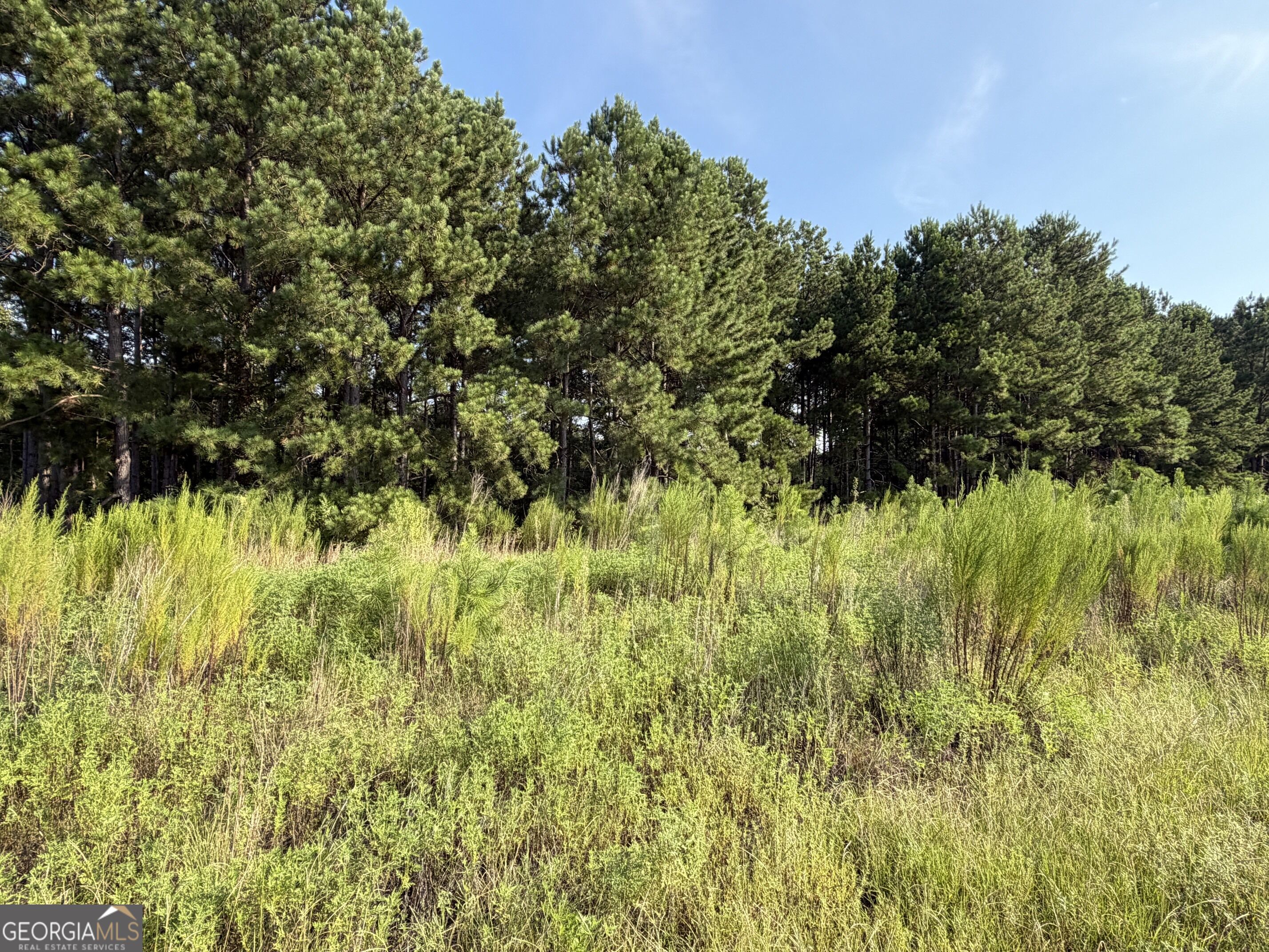 0 Highway 296 Property Photo 2