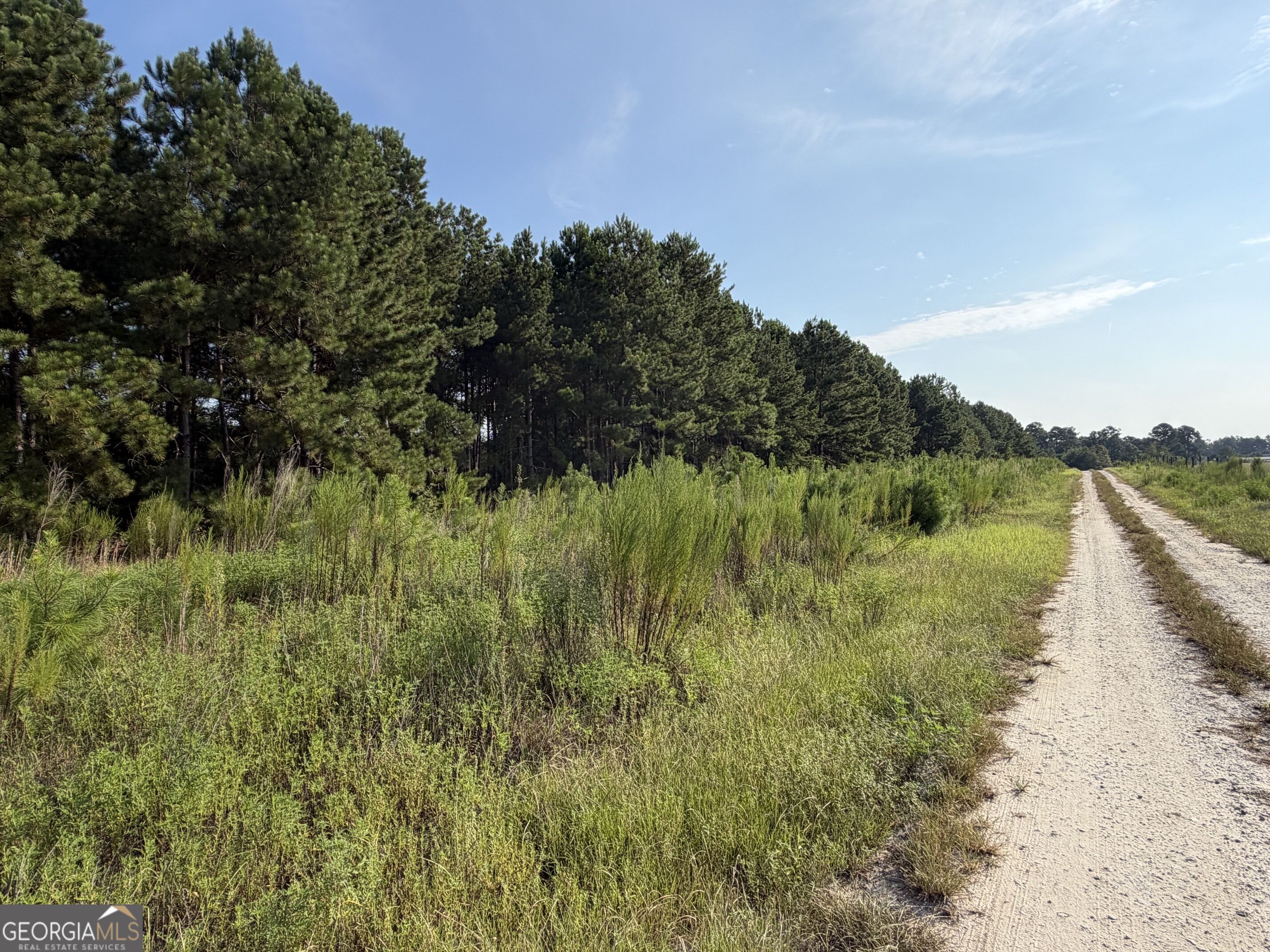 0 Highway 296 Property Photo 3
