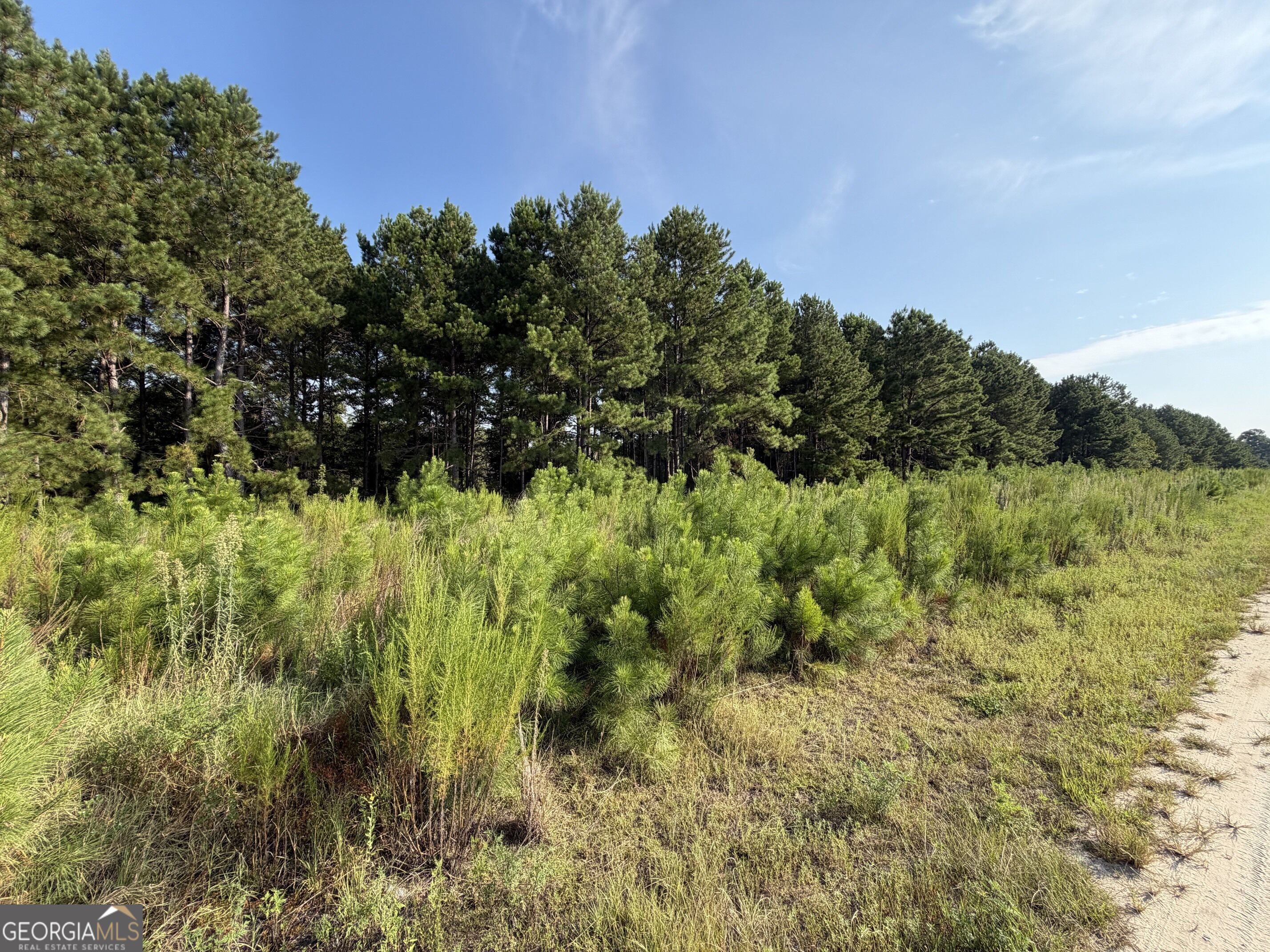 0 Highway 296 Property Photo 4