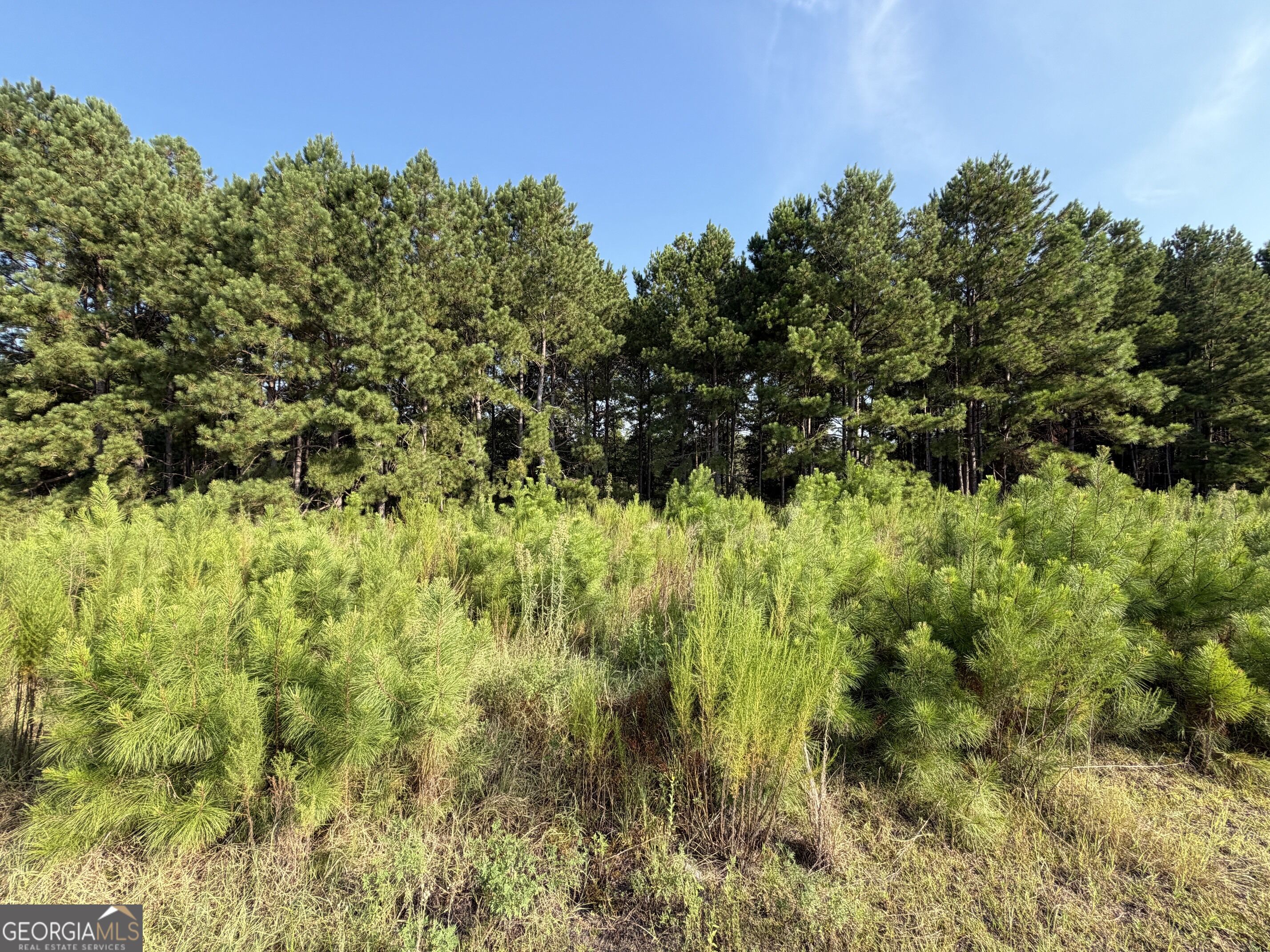 0 Highway 296 Property Photo 5