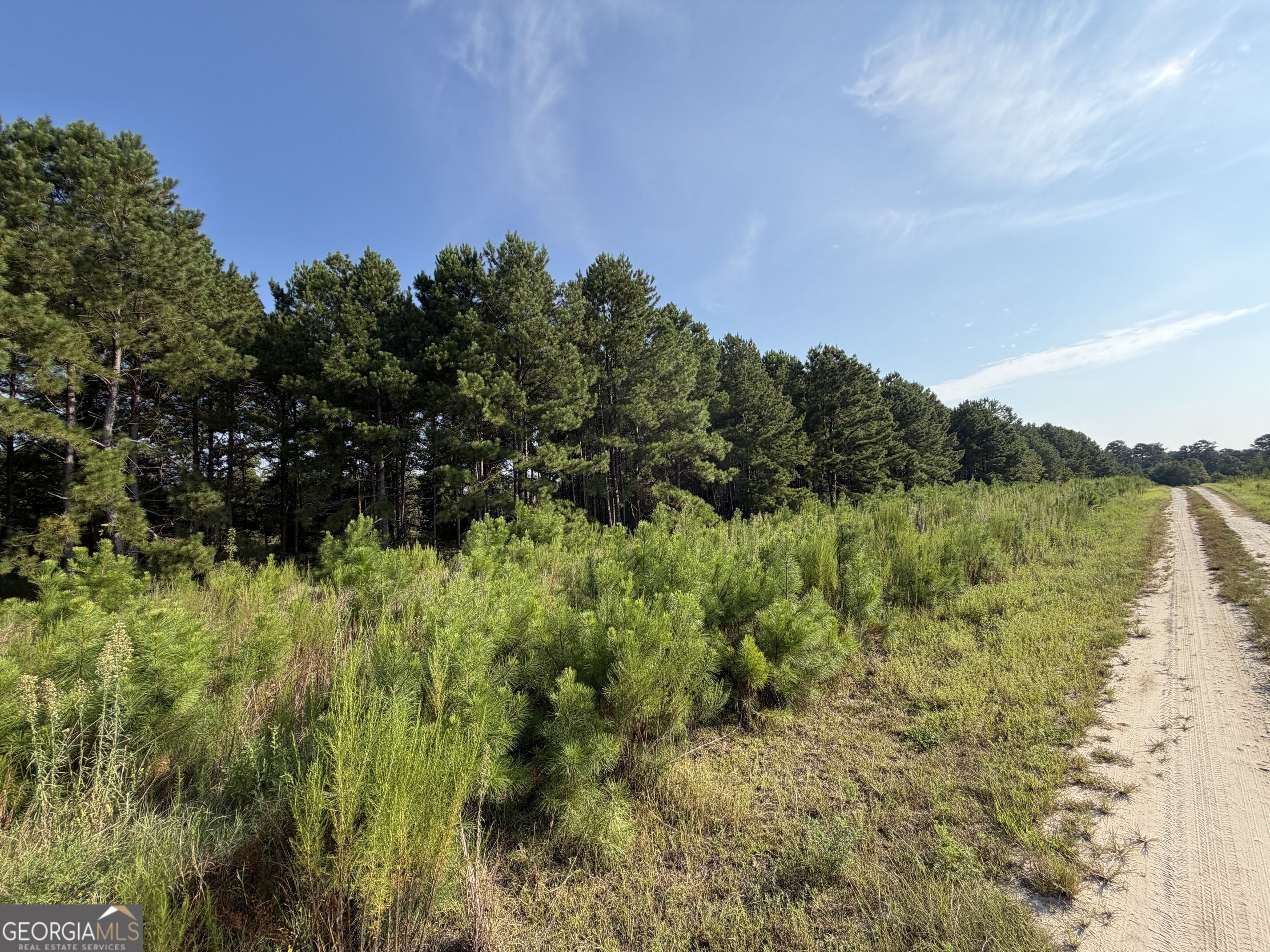 0 Highway 296 Property Photo 6