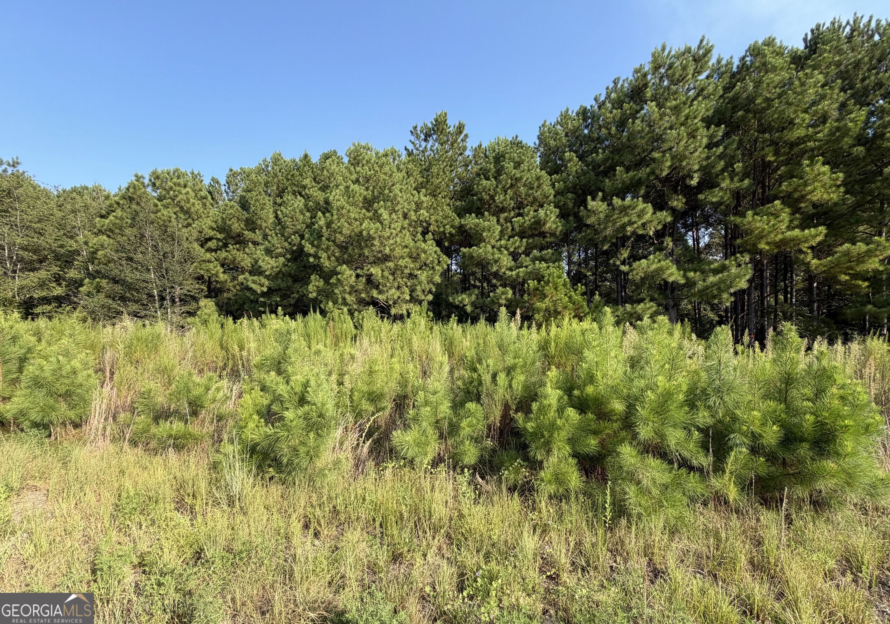 0 Highway 296 Property Photo 8