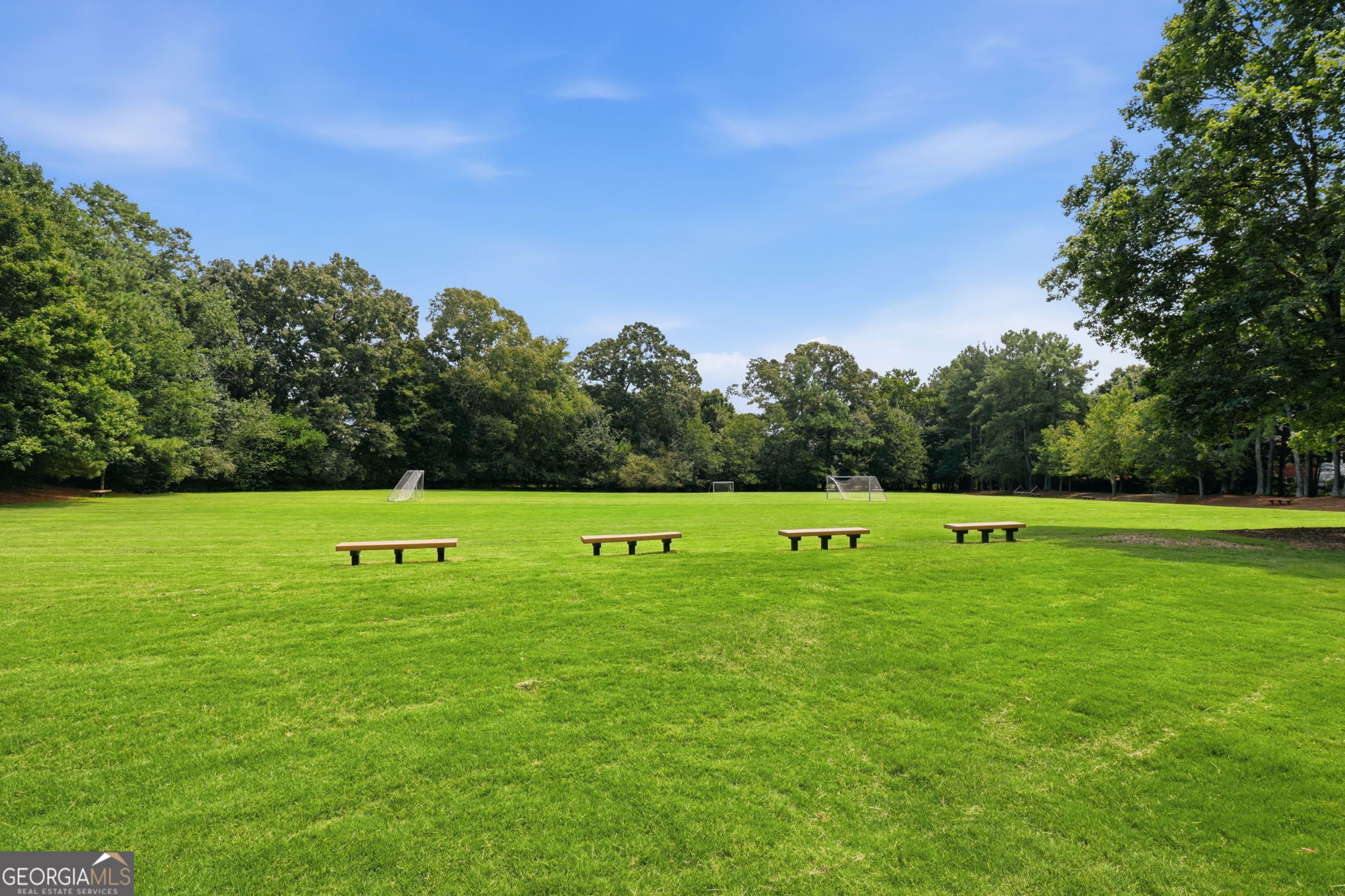 12125 Helleri Hollow Property Photo 35
