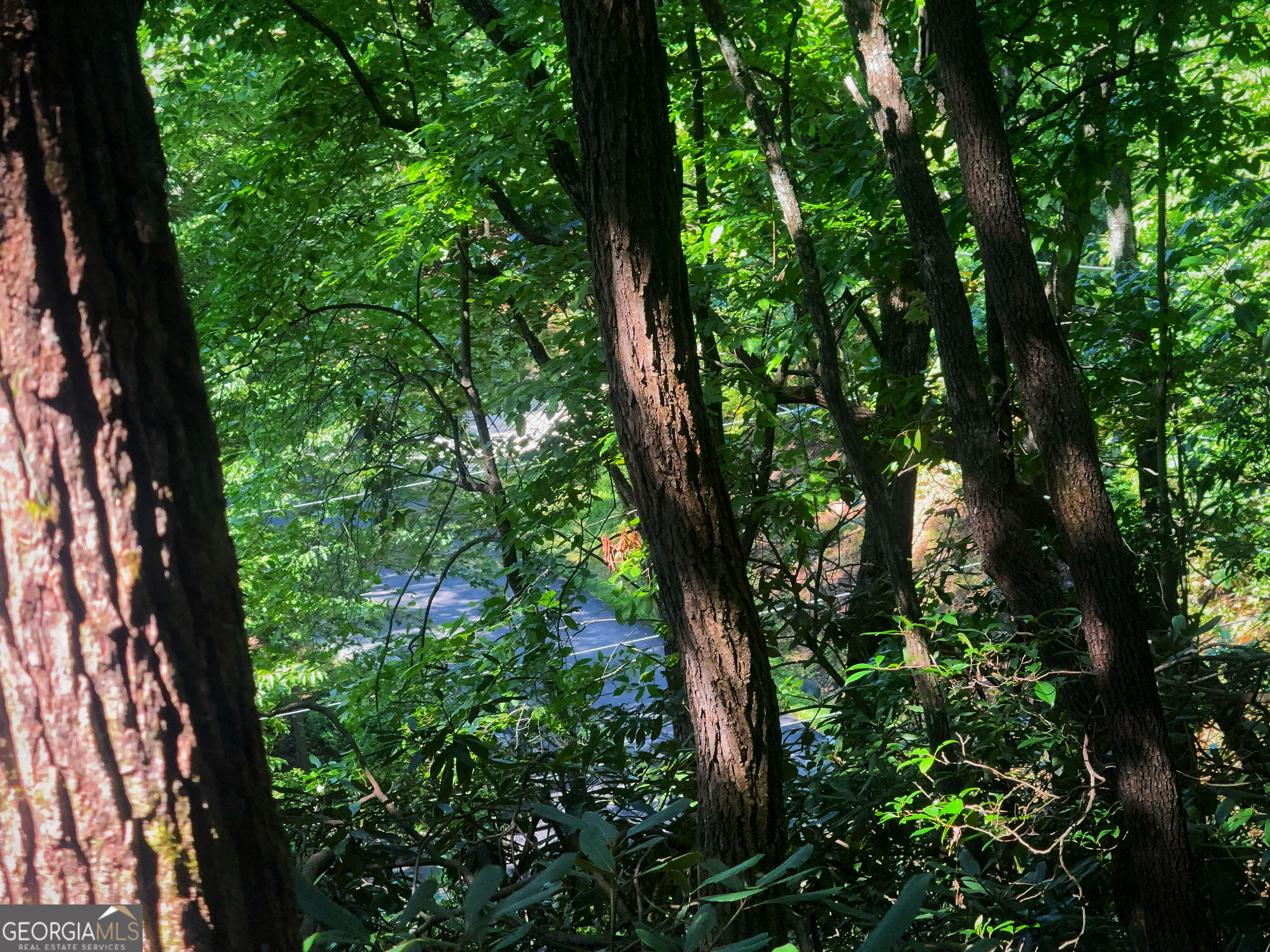 0 Screamer Drive Property Photo 2