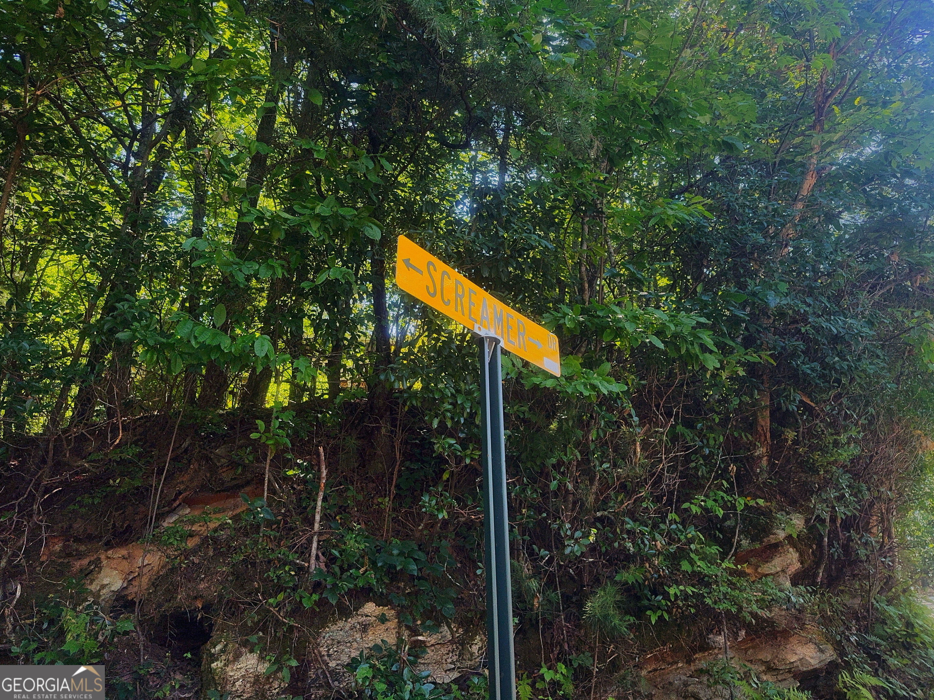 0 Screamer Drive Property Photo 3