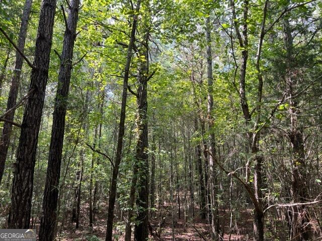 0 Lipham Road Property Photo 1