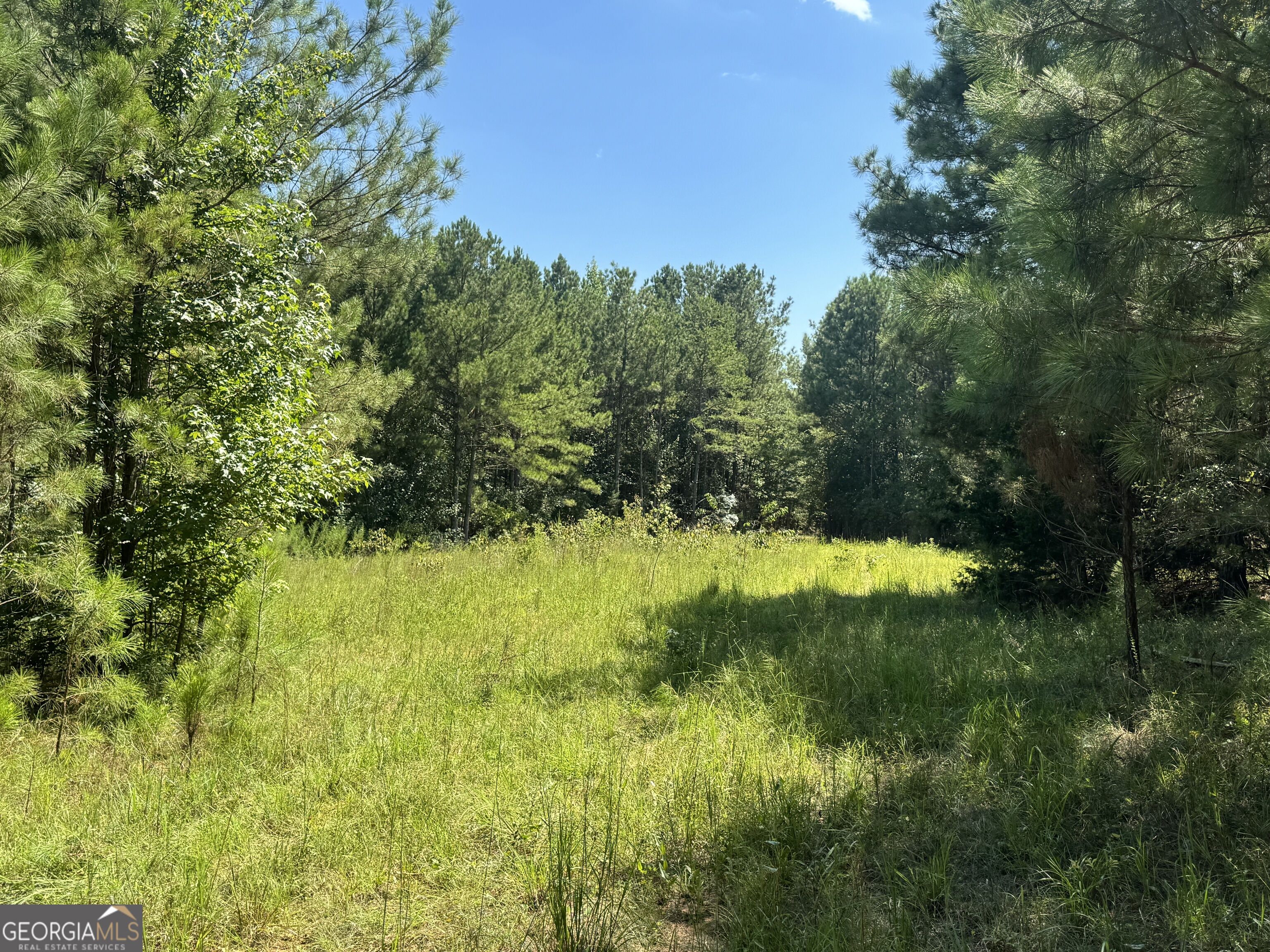 0 Lipham Road Property Photo 8