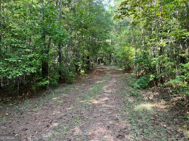 0 Lipham Road Property Photo 12