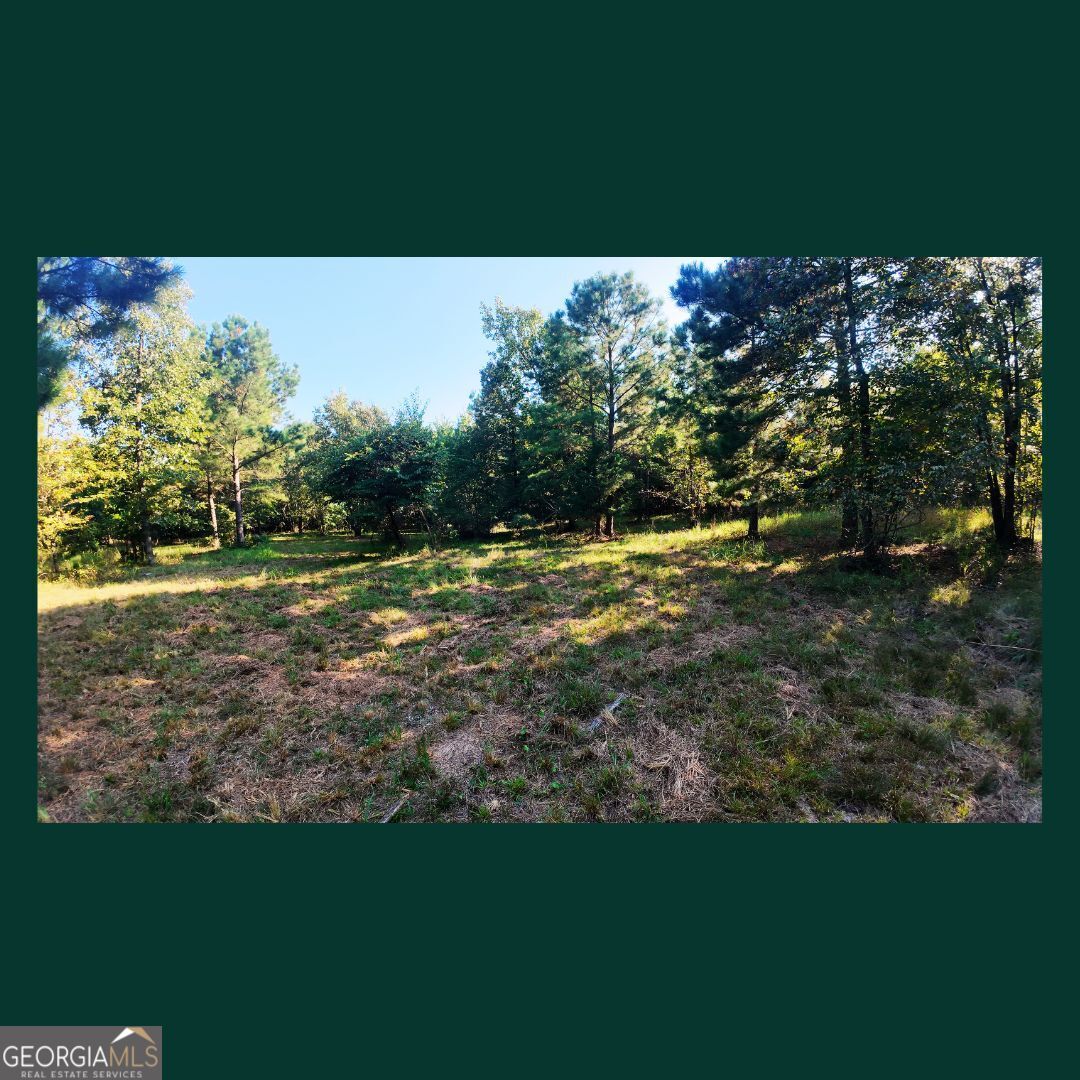 0 Gill Point Road Property Photo 4