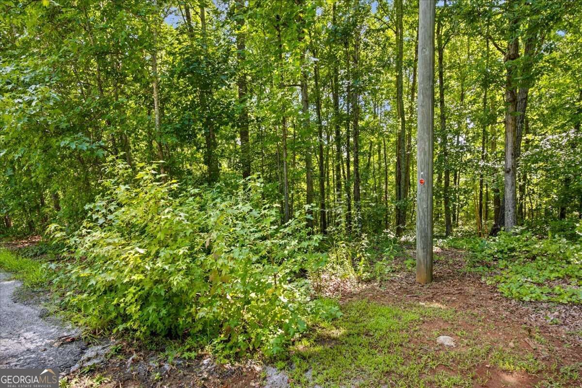 194 Gina Drive Property Photo 19