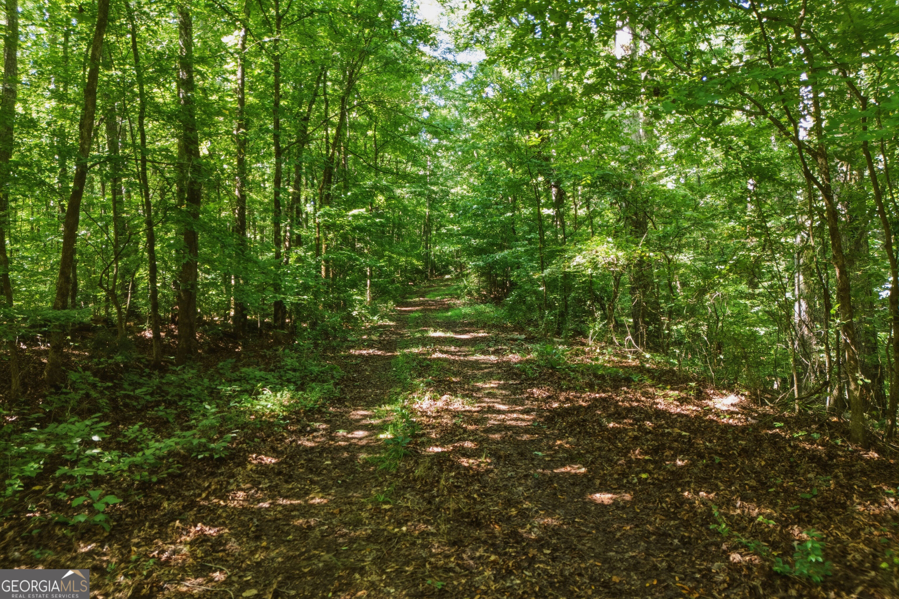 3120 Highway 229 Property Photo 5