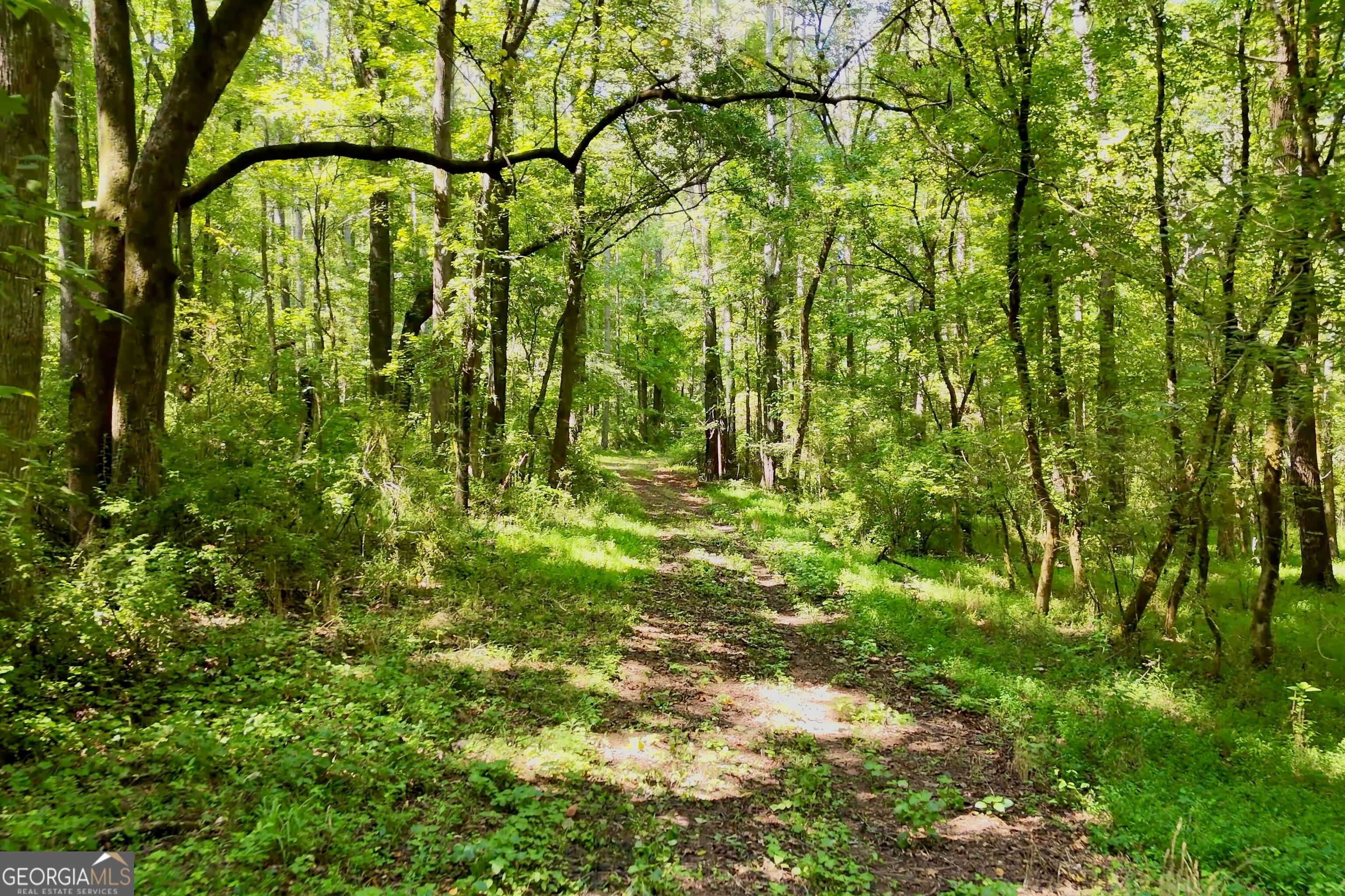 3120 Highway 229 Property Photo 10