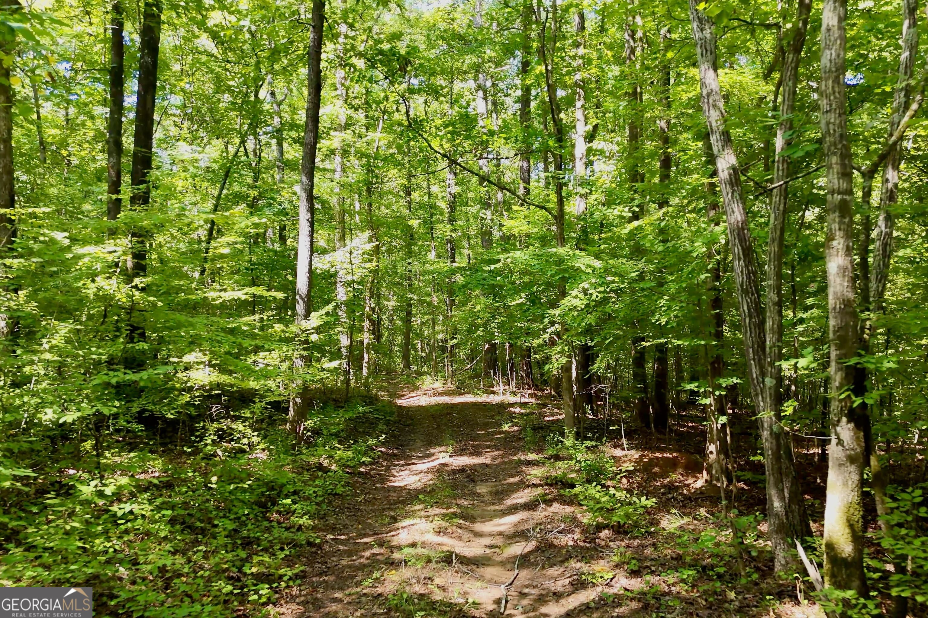 3120 Highway 229 Property Photo 12