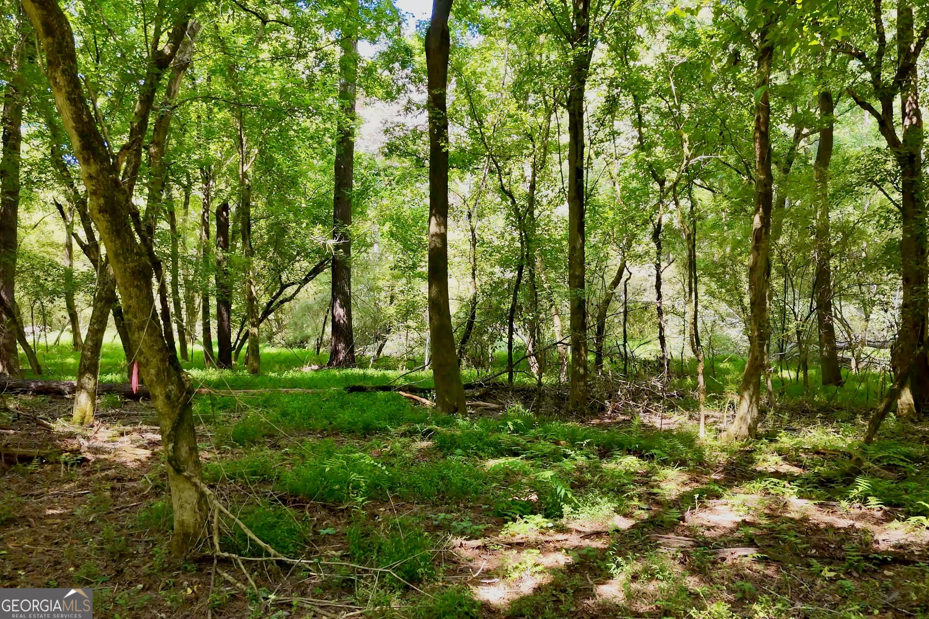 3120 Highway 229 Property Photo 15