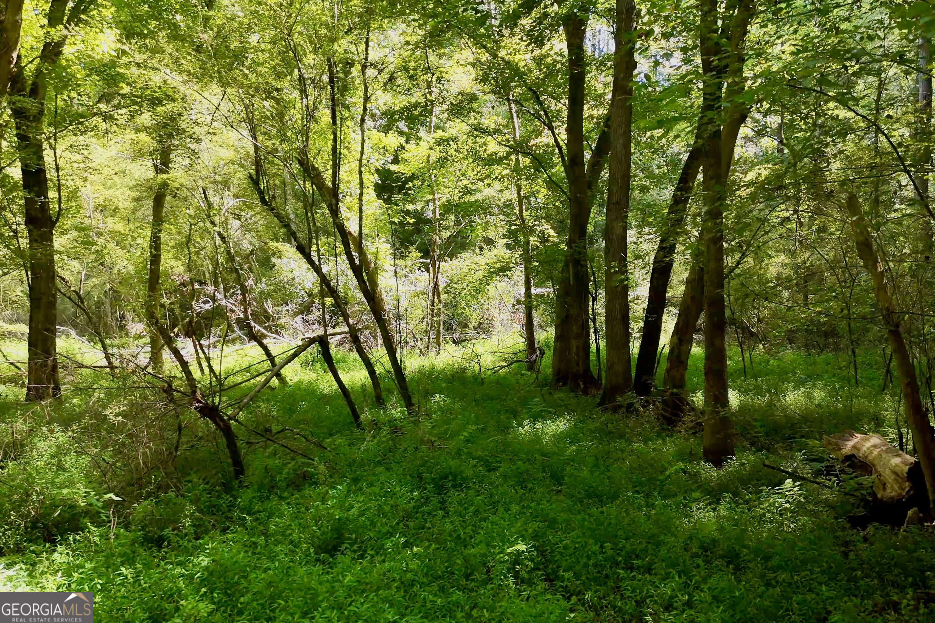 3120 Highway 229 Property Photo 16