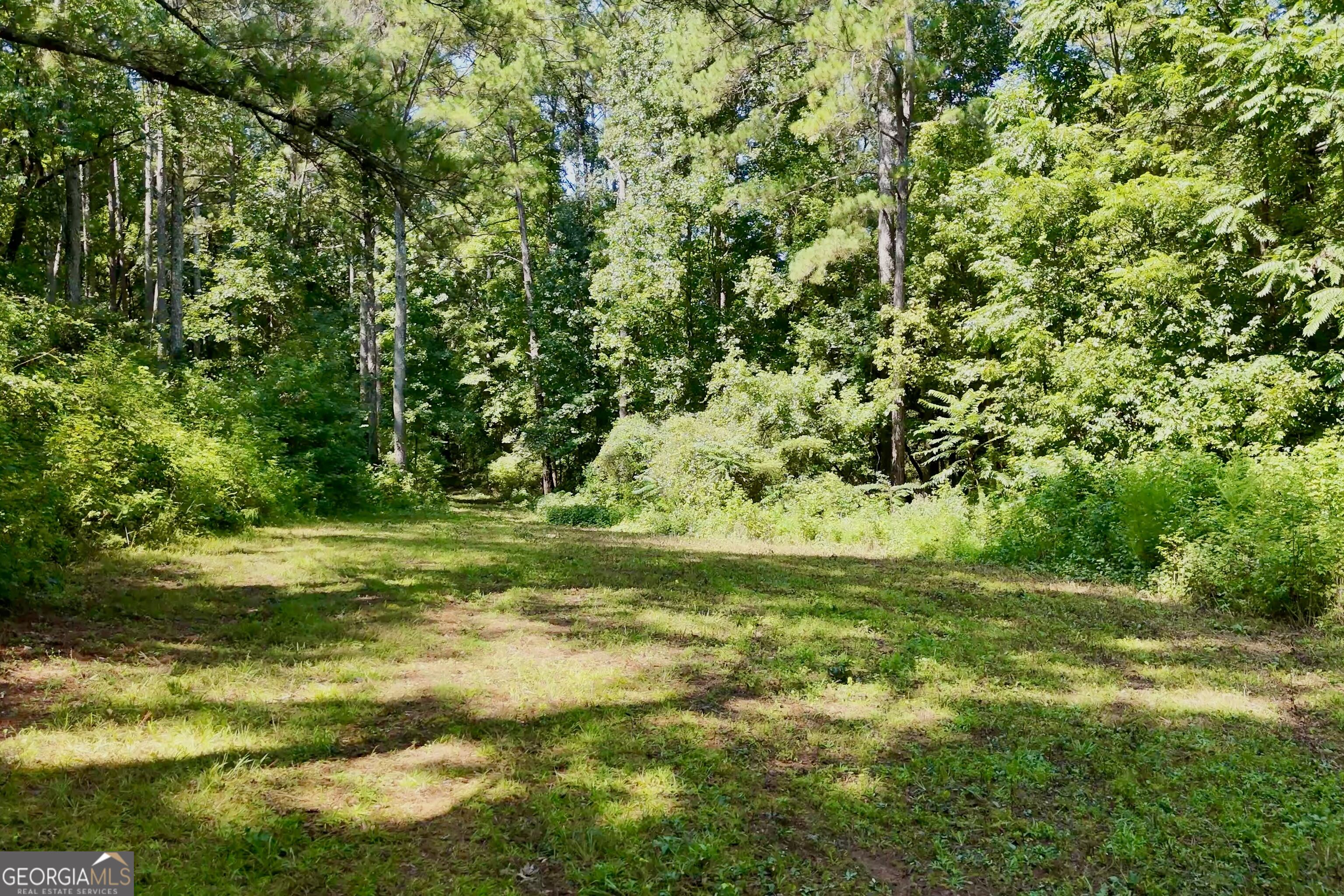 3120 Highway 229 Property Photo 17