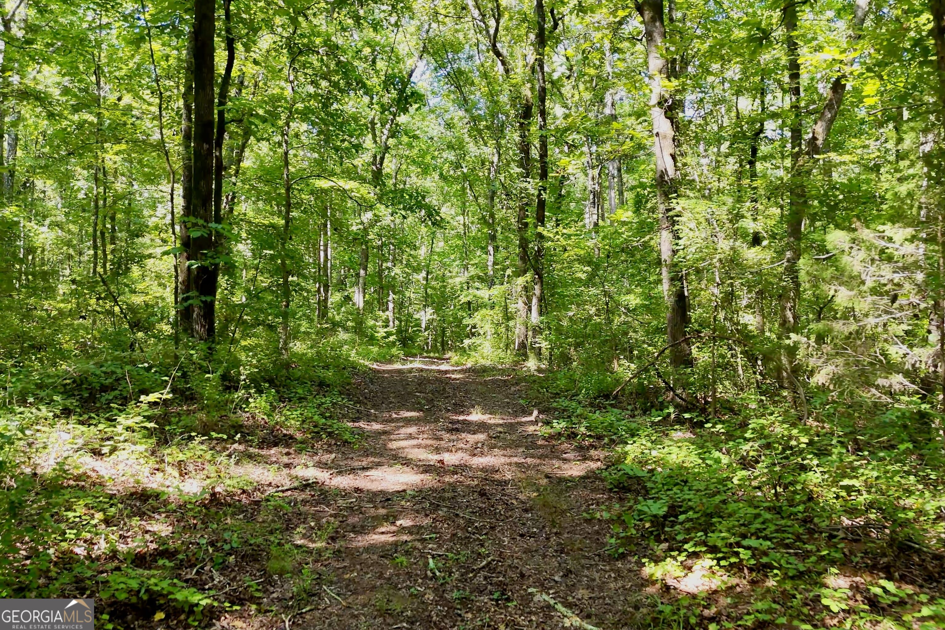 3120 Highway 229 Property Photo 18