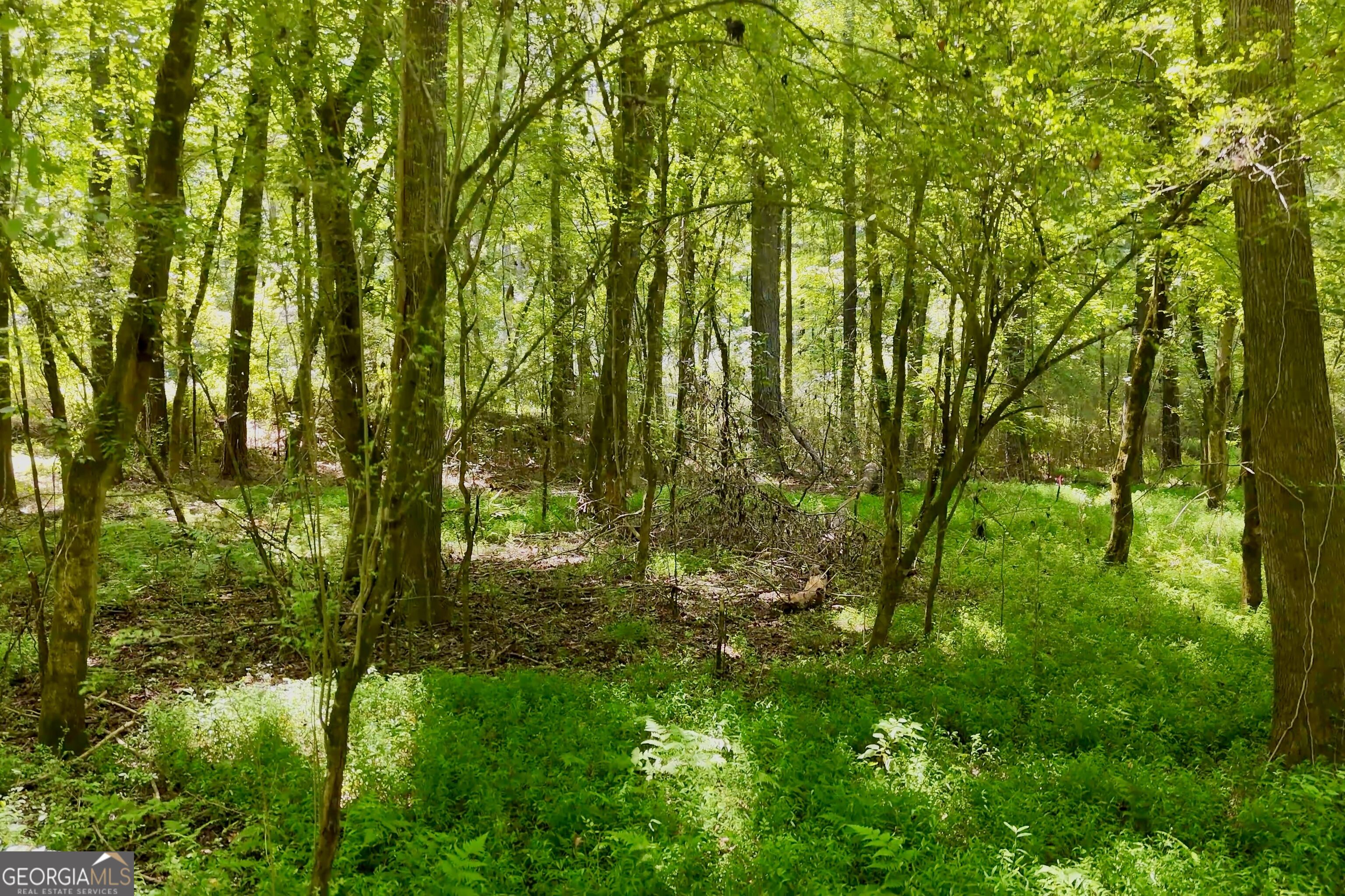 3120 Highway 229 Property Photo 19