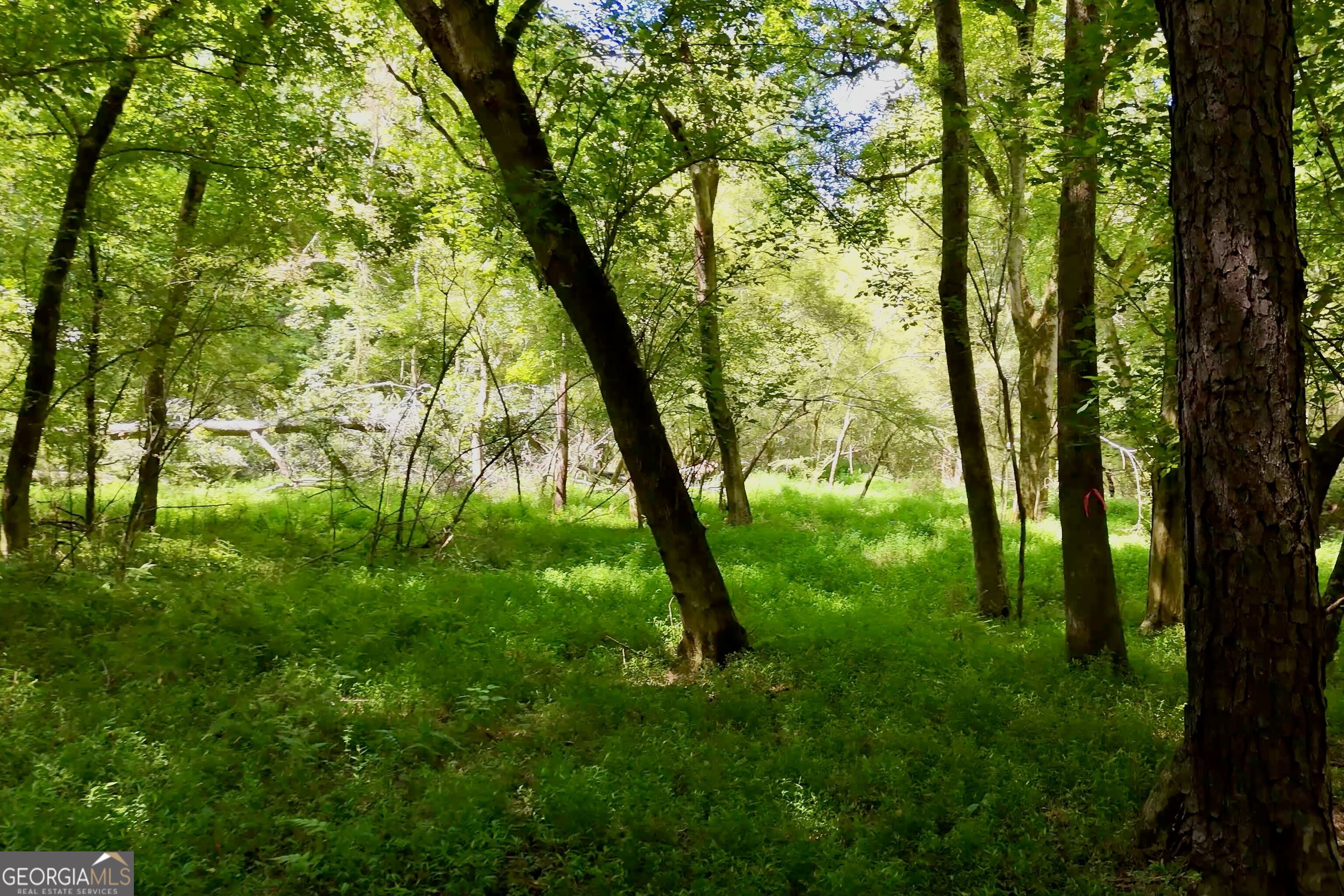 3120 Highway 229 Property Photo 20