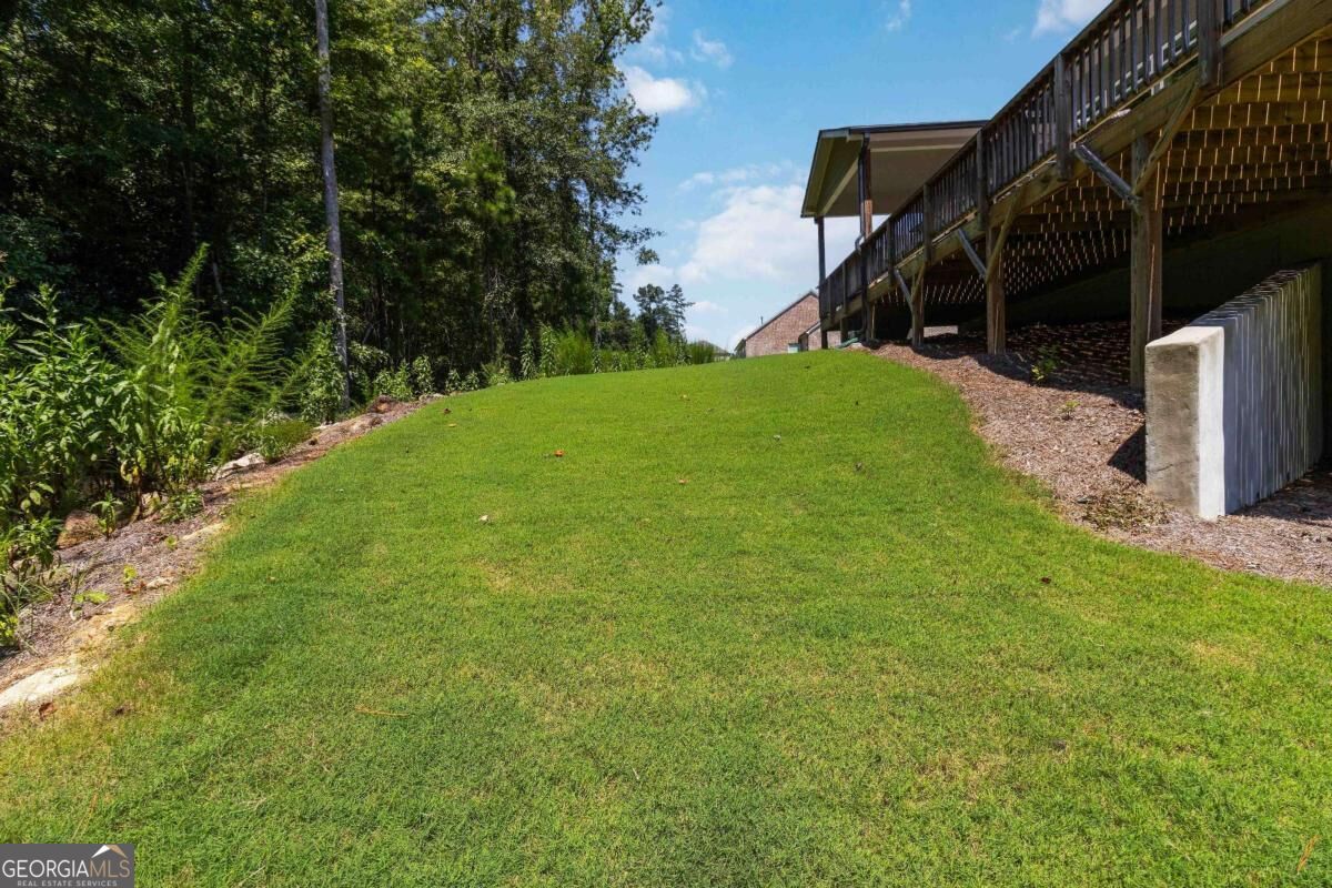 2183 Calverton Lane Sw Property Photo 58
