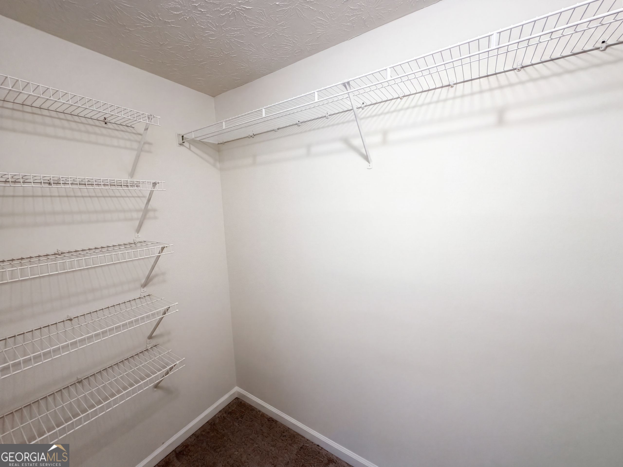 7830 Mosswood Lane Property Photo 28