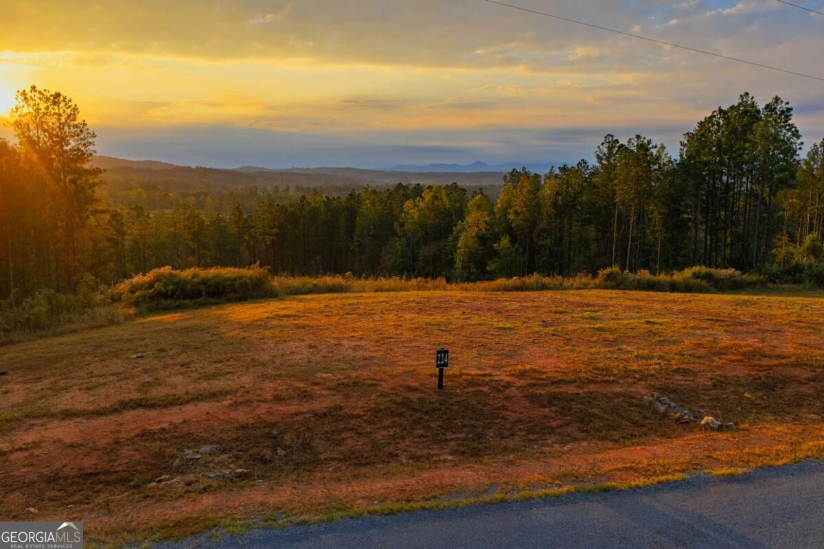 Lot 224 W Vista Ridge Parkway Property Photo 1