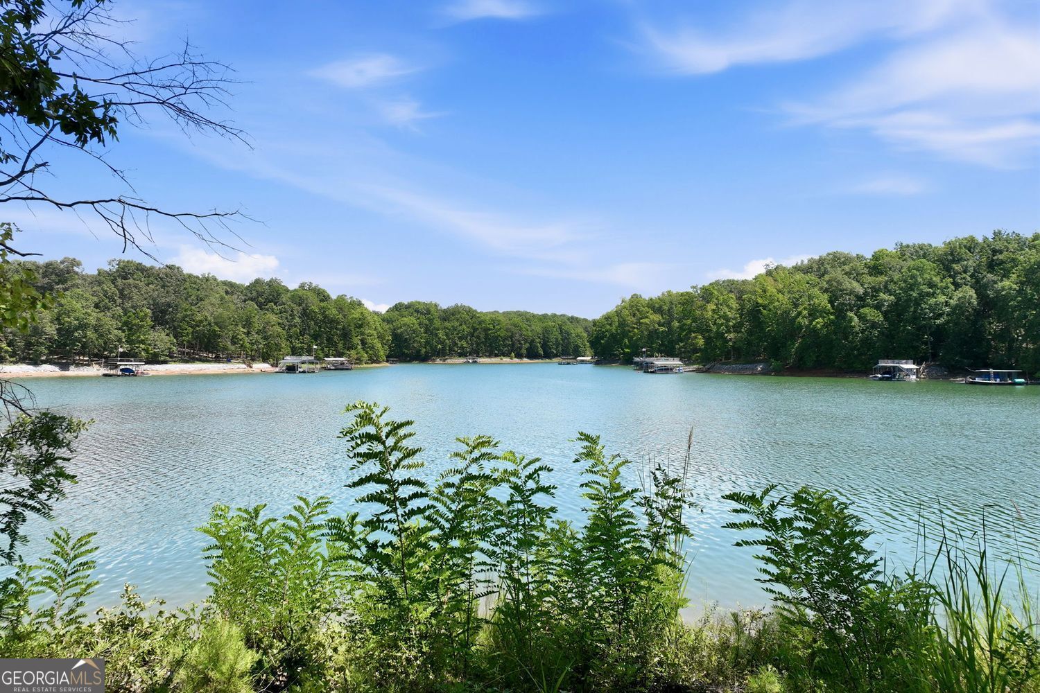 1123 Chestatee Point Property Photo 87