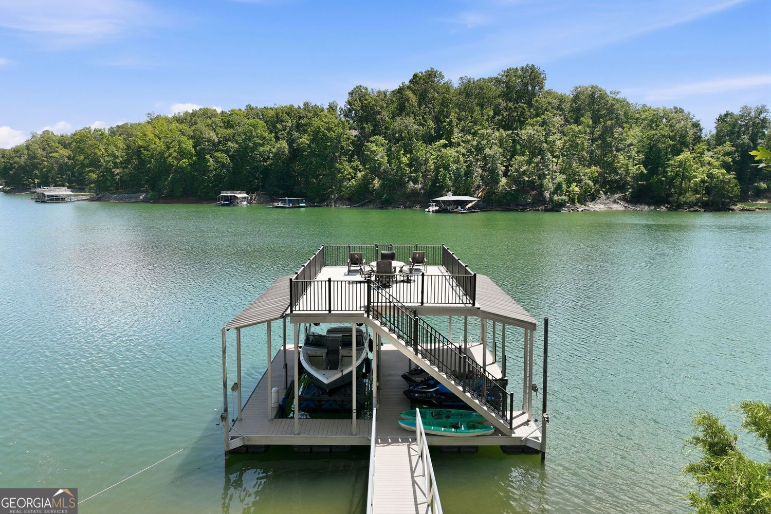 1123 Chestatee Point Property Photo 91