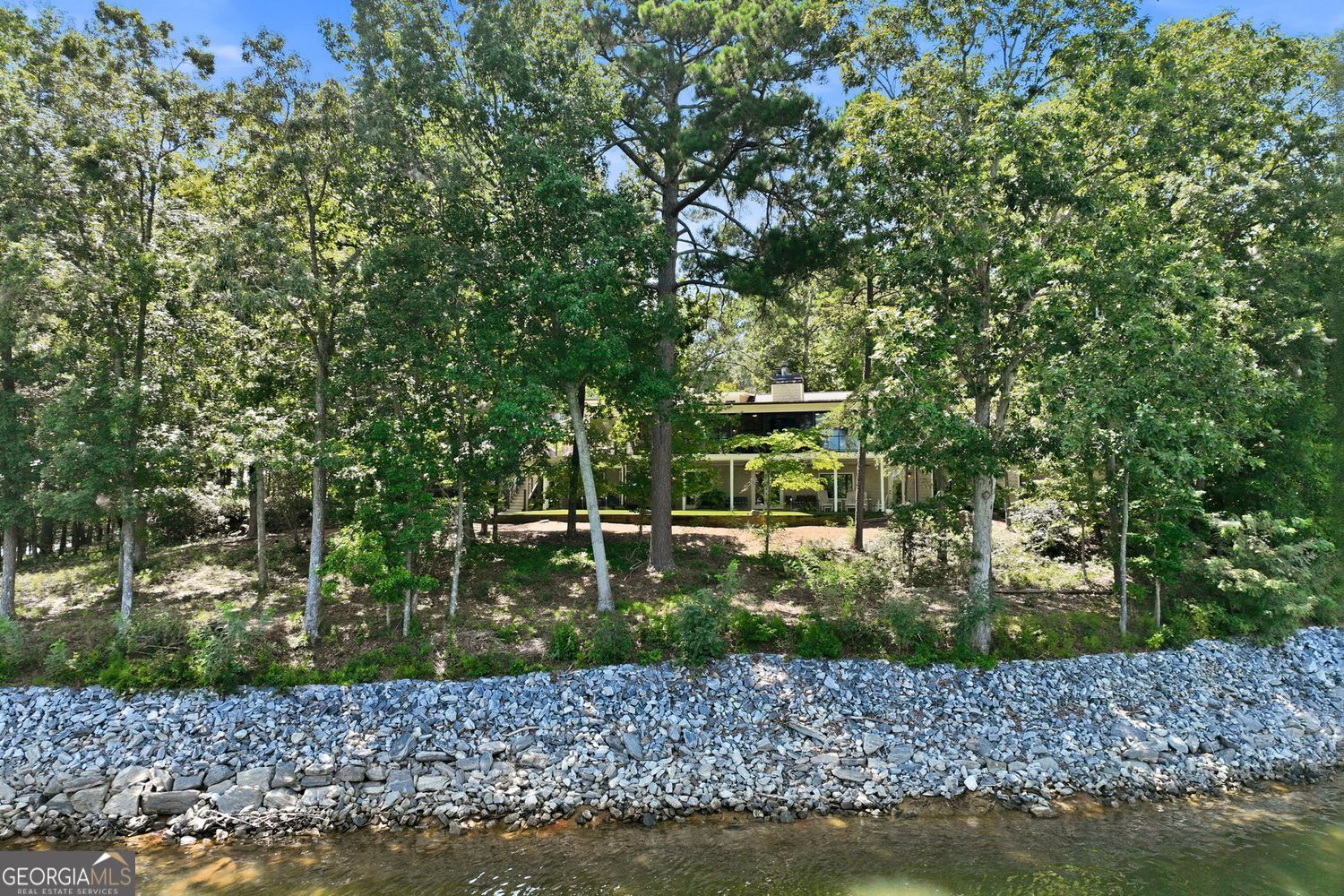 1123 Chestatee Point Property Photo 113