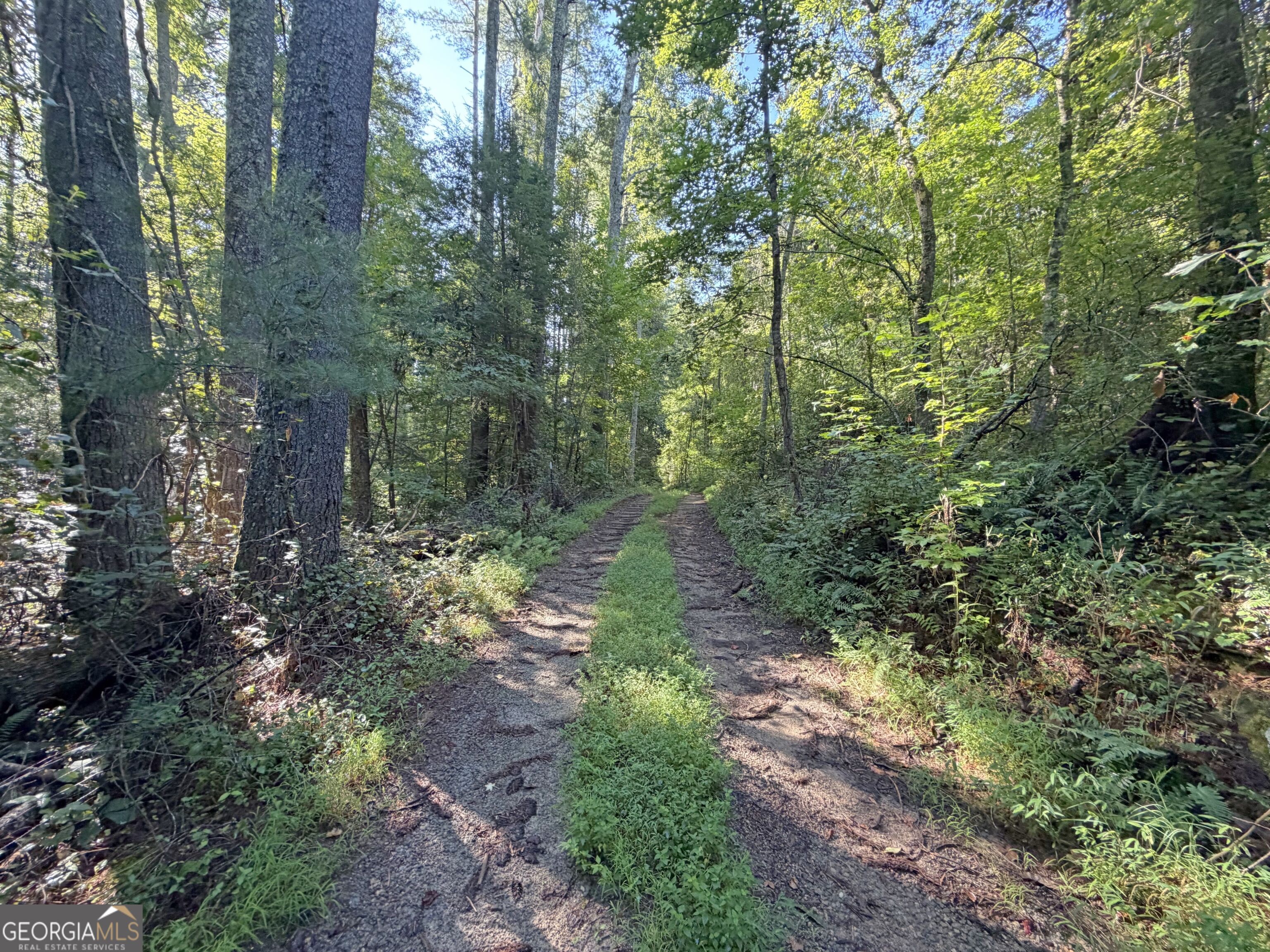 505 Hank Fry Road Property Photo 1